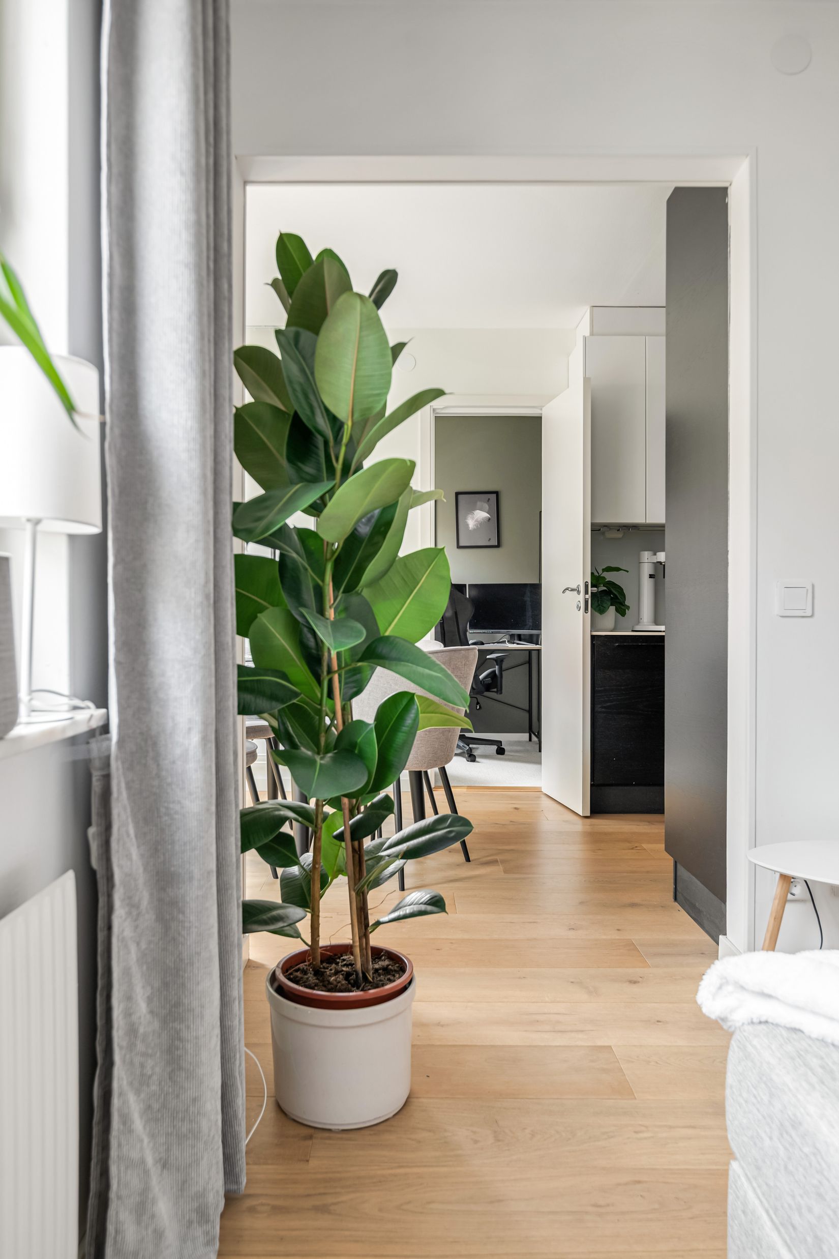 Bostadsrätt, Kullagatan 37, Helsingborg - Centrum, Helsingborg