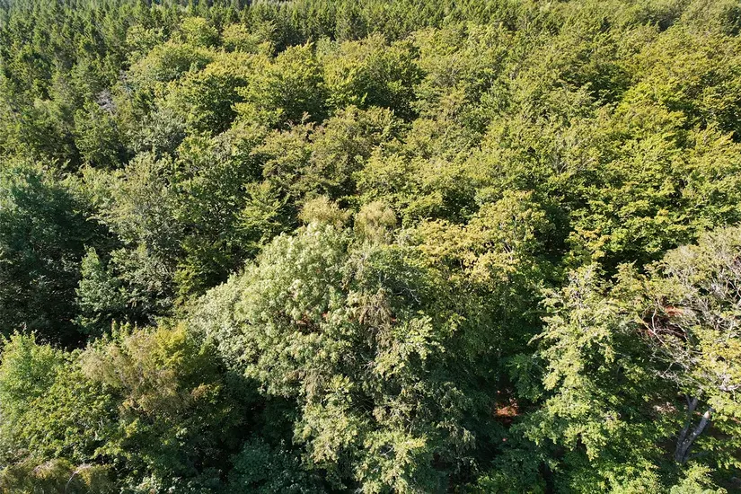 Gård/Skog, Sibbamålavägen 112, Sibbamåla, Karlskrona