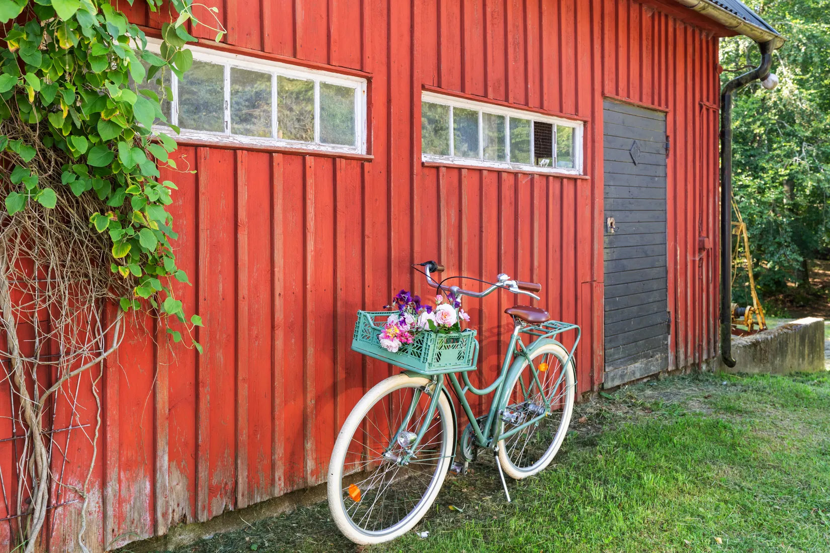 Gård/Skog, Sibbamålavägen 112, Sibbamåla, Karlskrona