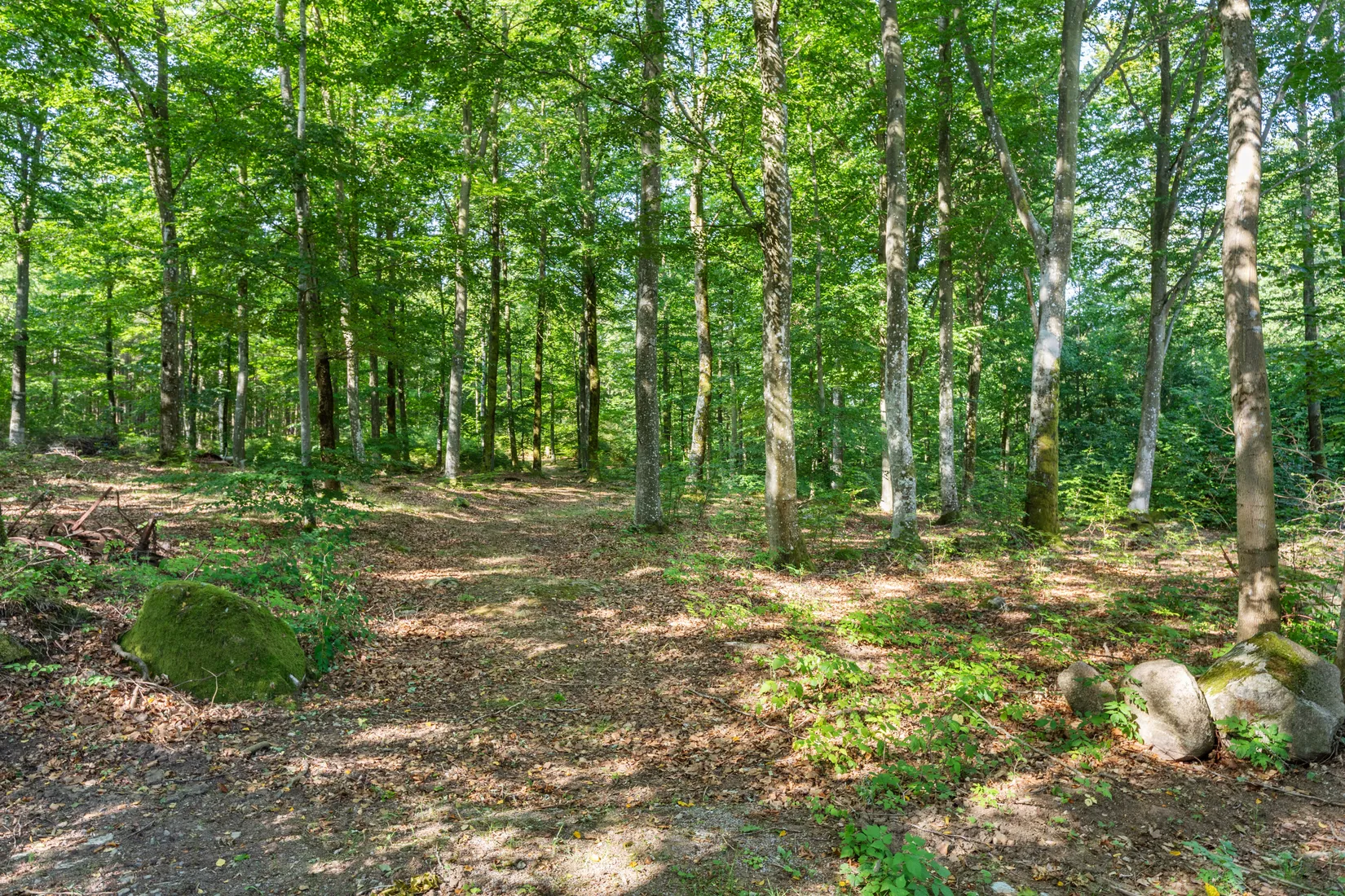 Gård/Skog, Sibbamålavägen 112, Sibbamåla, Karlskrona