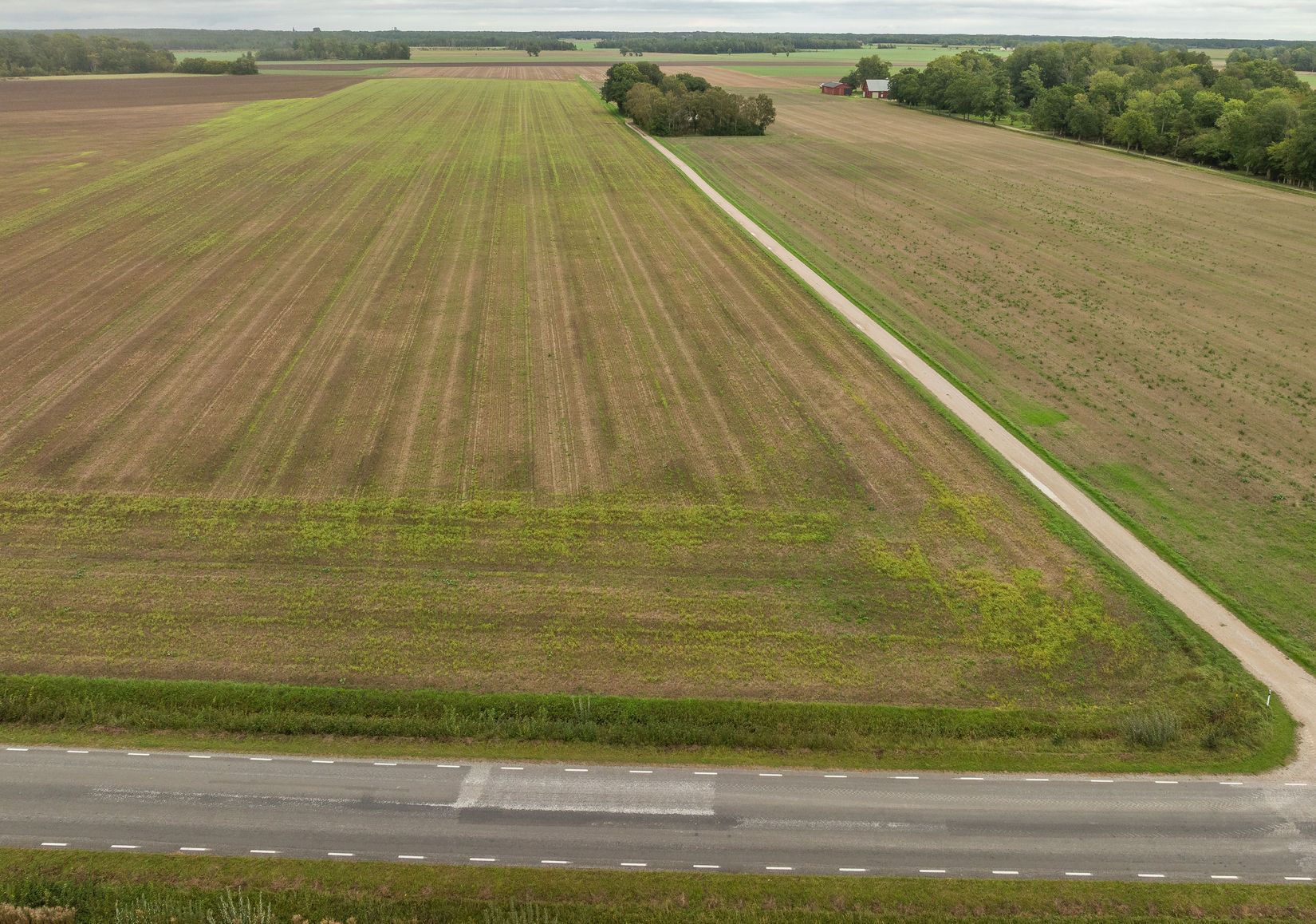 Gård/Skog, Tre skiften bra åkermark , Mellersta Gotland, Gotland