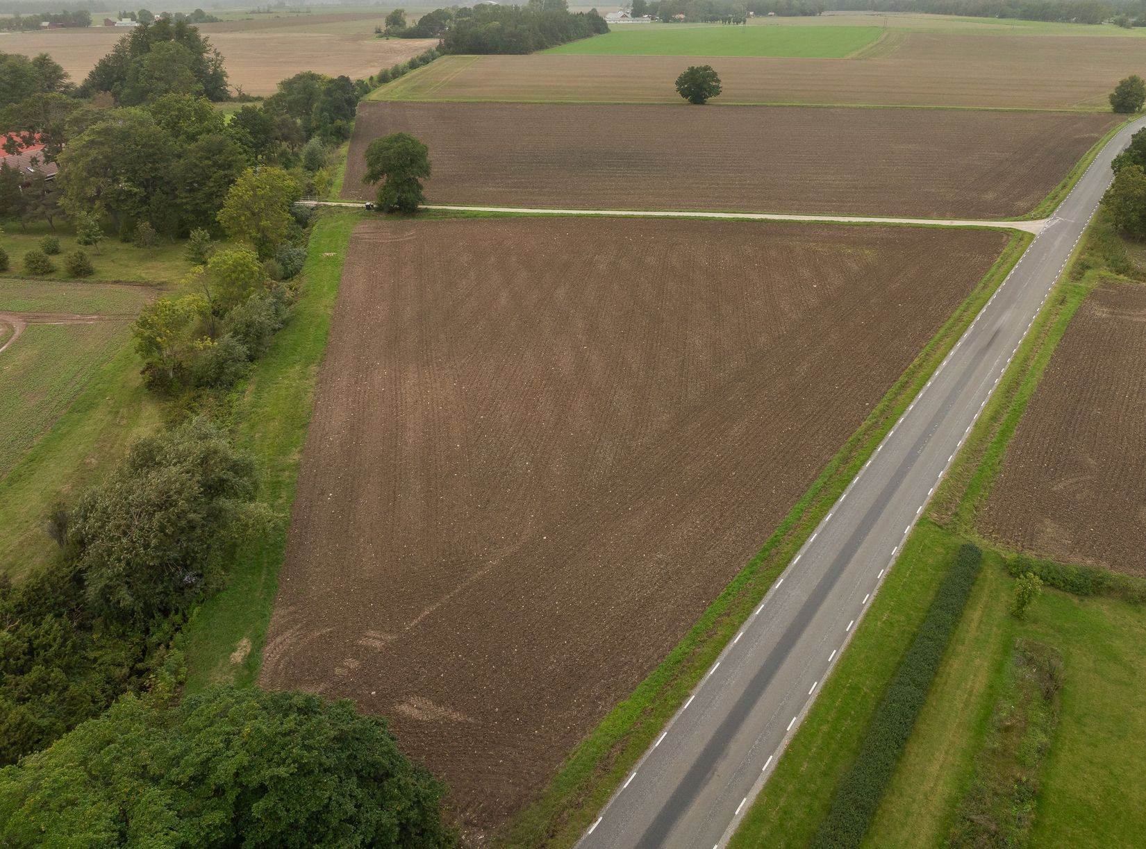 Gård/Skog, Tre skiften bra åkermark , Mellersta Gotland, Gotland