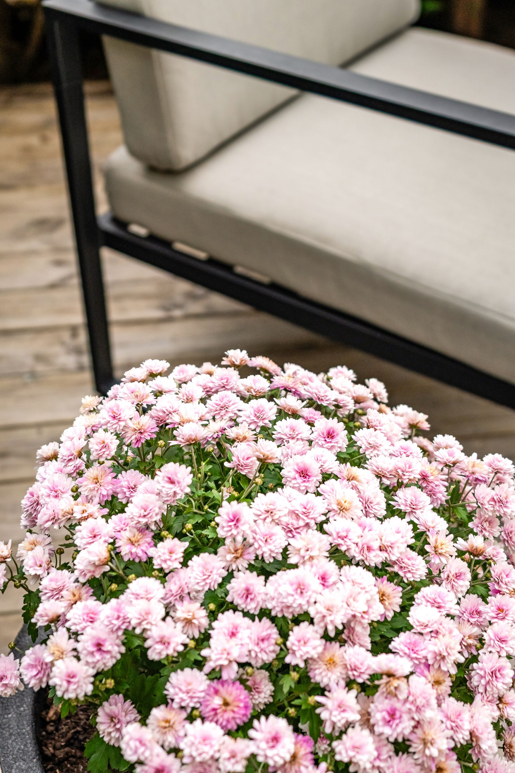 Villa, Sysslomansgatan 51C, Luthagen, Uppsala