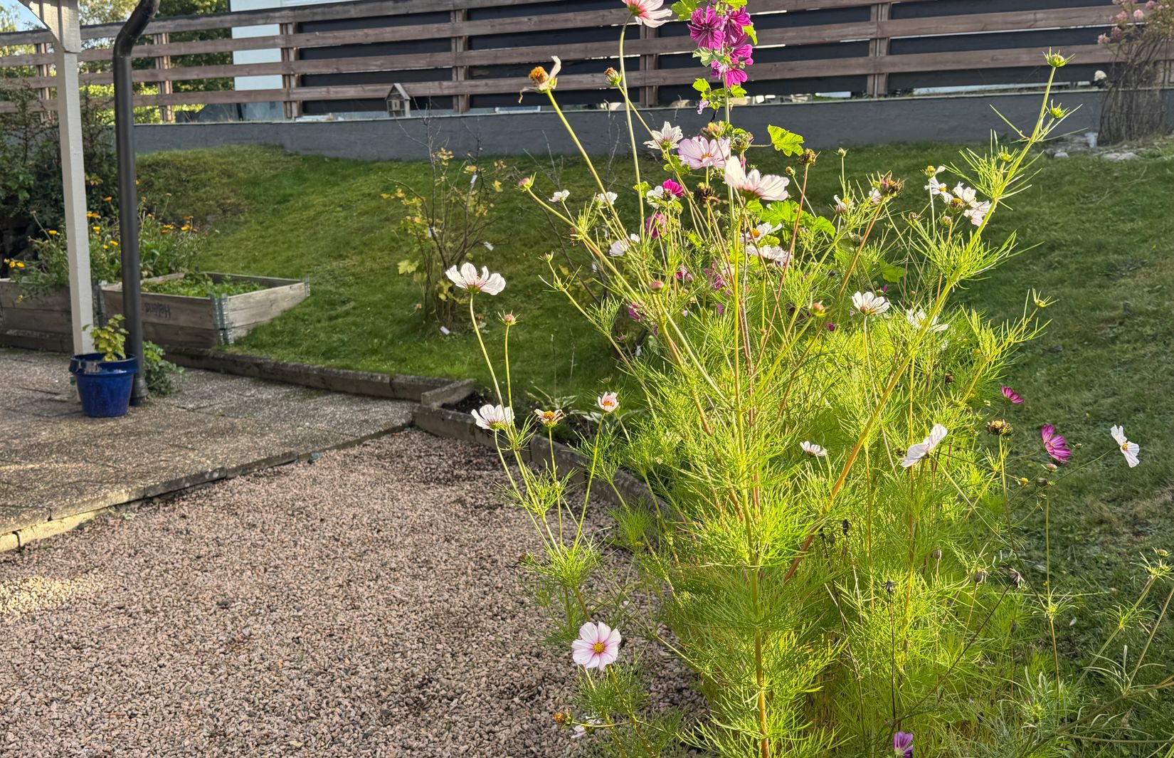 Villa, Alexandras väg 25, Ovesholm, Kristianstad