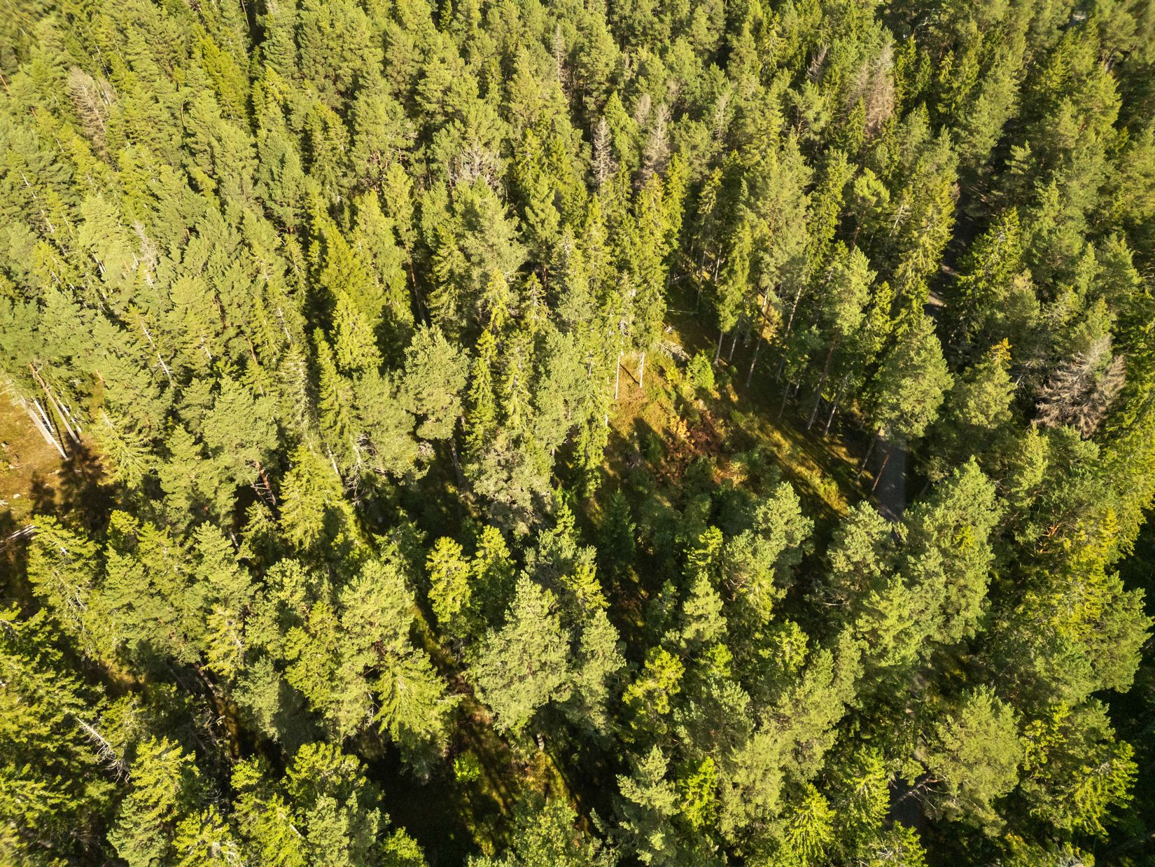 Tomt, Rumshamnsvägen 87, Björkö, Norrtälje