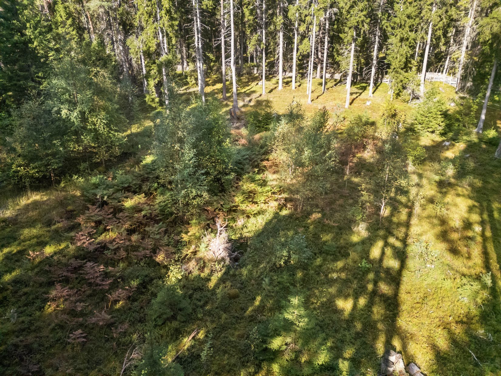 Tomt, Rumshamnsvägen 87, Björkö, Norrtälje