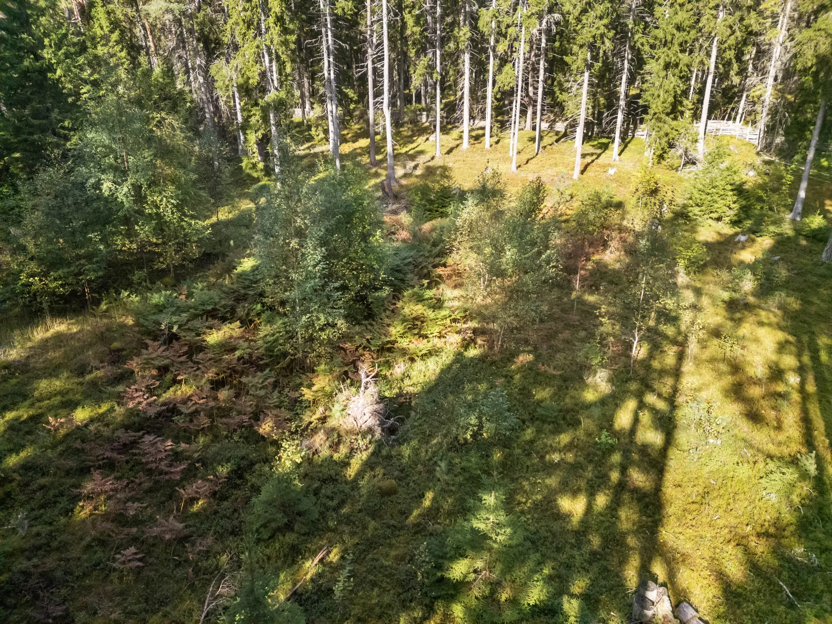 Tomt, Rumshamnsvägen 87, Björkö, Norrtälje