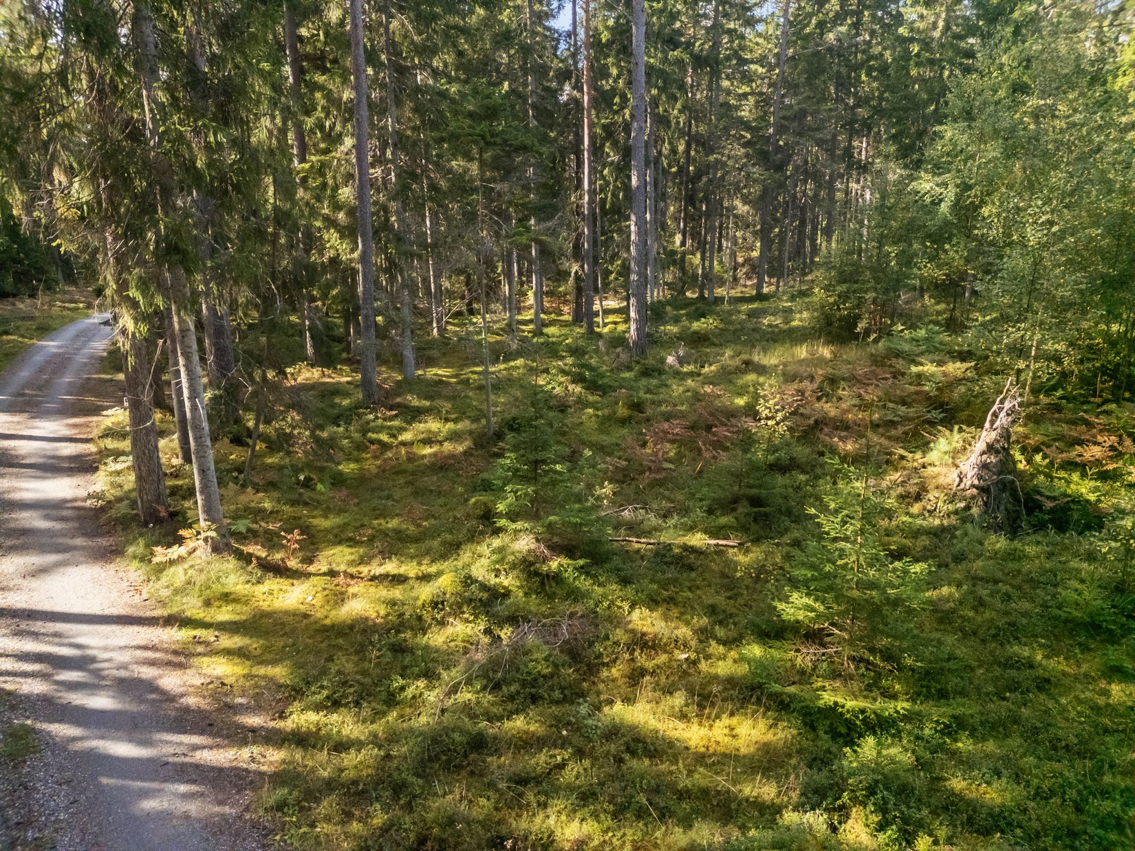 Tomt, Rumshamnsvägen 87, Björkö, Norrtälje