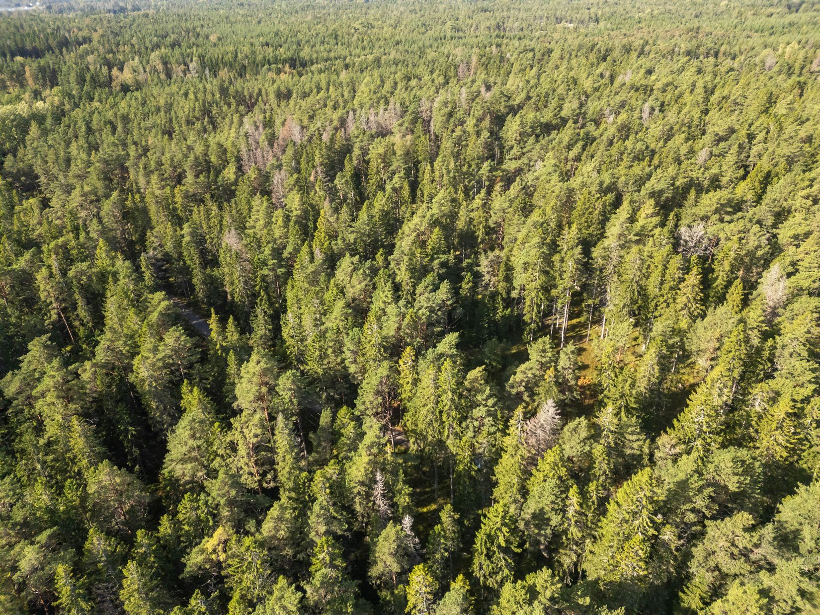 Tomt, Rumshamnsvägen 87, Björkö, Norrtälje