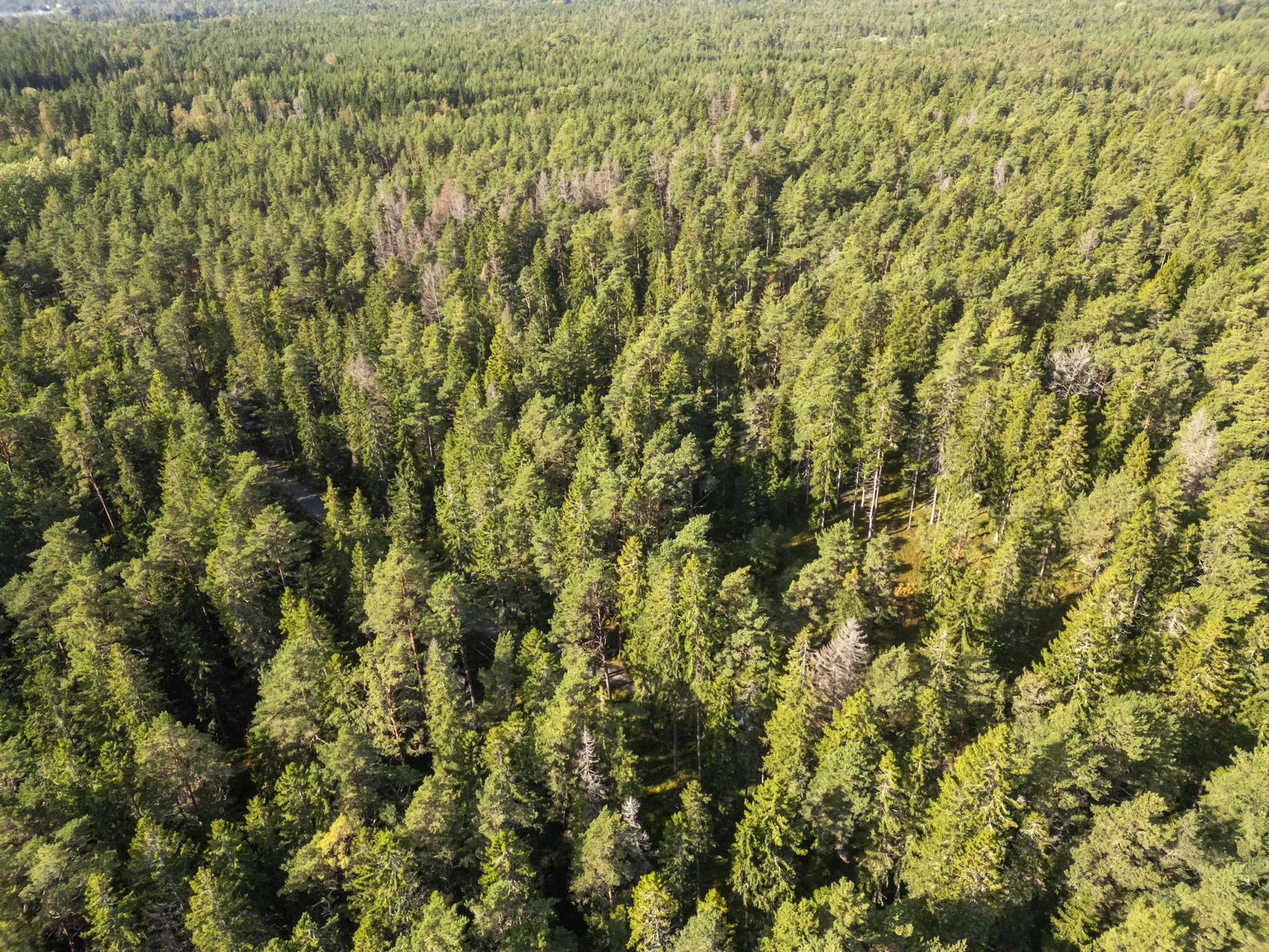 Tomt, Rumshamnsvägen 87, Björkö, Norrtälje