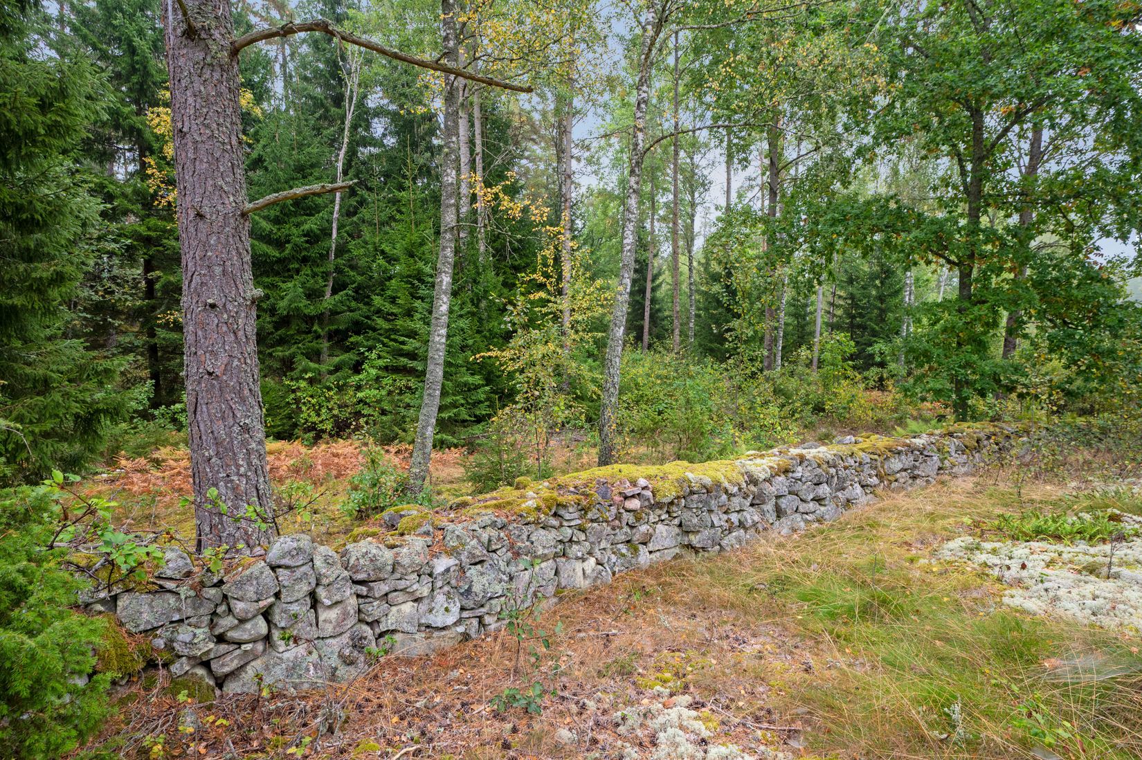 Gård/Skog, Höversby Ekenberg 1, Örtomta, Linköping
