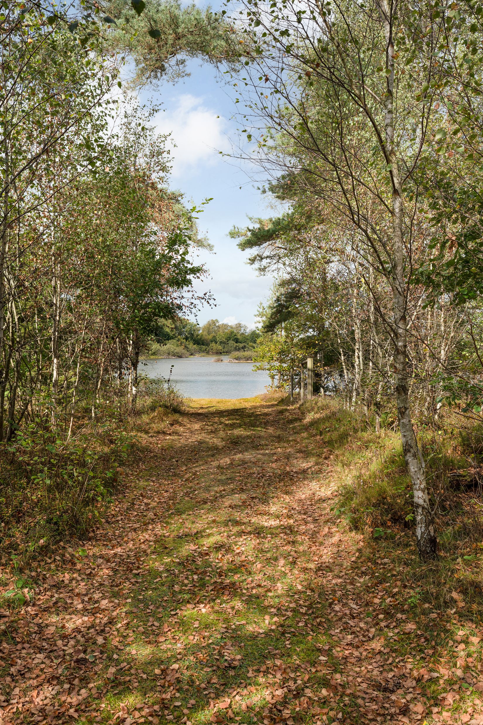 Fritidshus, Lejeby Ekasjö 11, Laholm