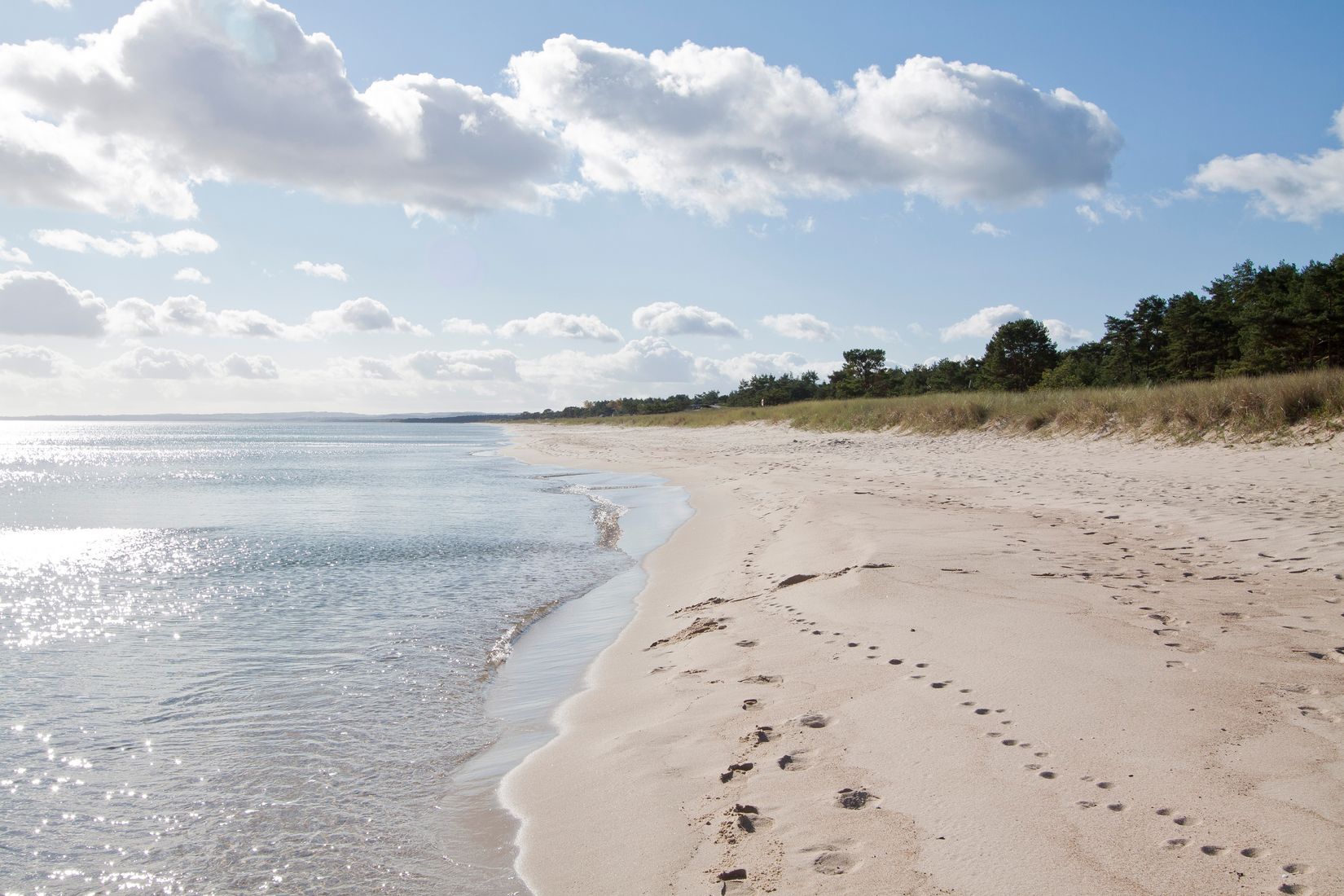Gård/Skog, Furubodavägen 350, Kristianstad