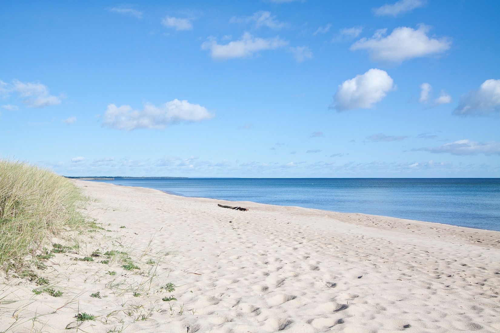 Gård/Skog, Furubodavägen 350, Kristianstad