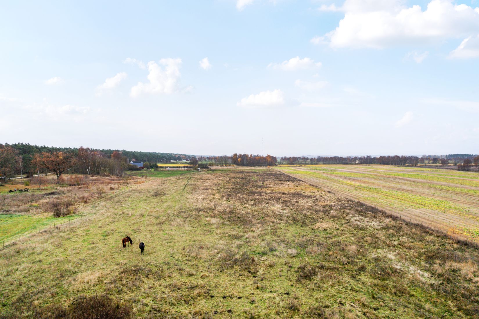 Gård/Skog, Furubodavägen 350, Kristianstad