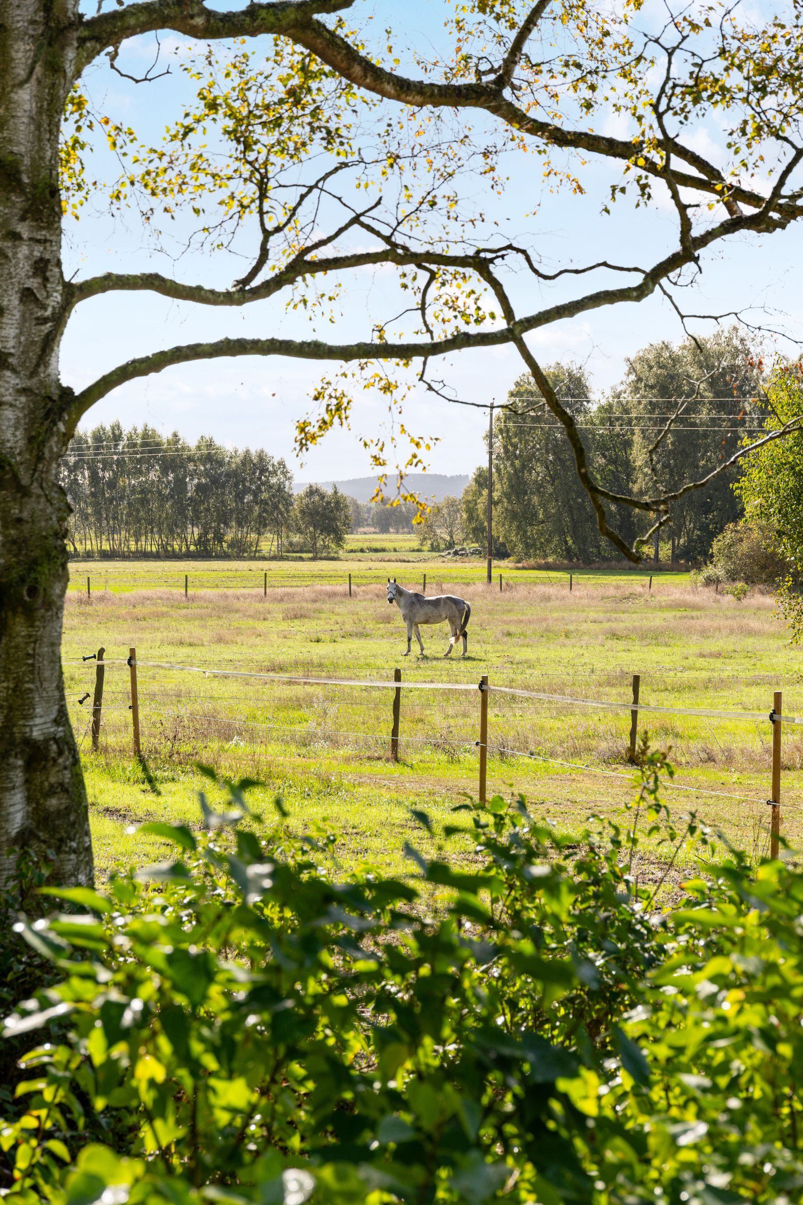 Gård/Skog, Furubodavägen 350, Kristianstad
