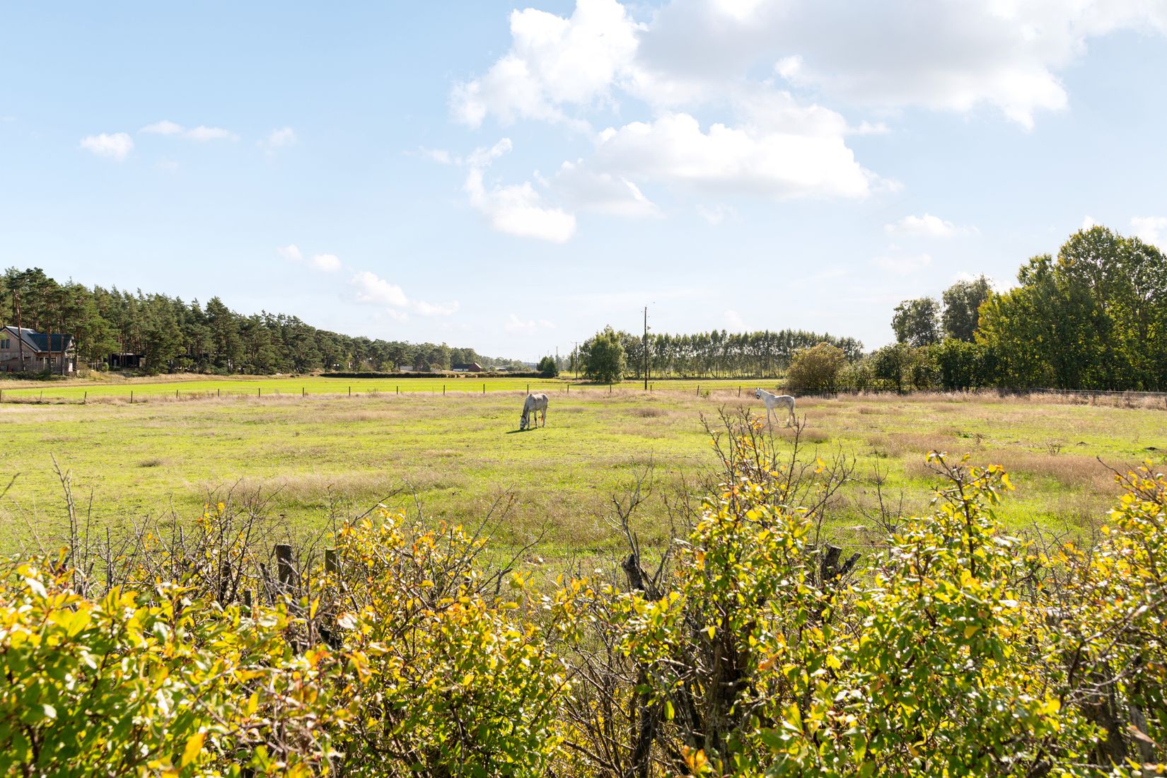 Gård/Skog, Furubodavägen 350, Kristianstad