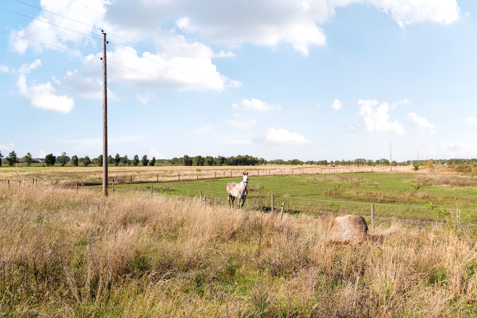 Gård/Skog, Furubodavägen 350, Kristianstad