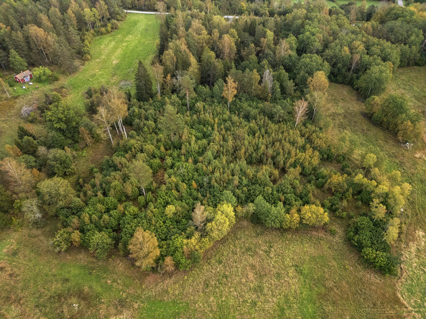 Tomt, UTÅL 1:12,1:13, 1:14, 1:15, Roslagsbro, Norrtälje