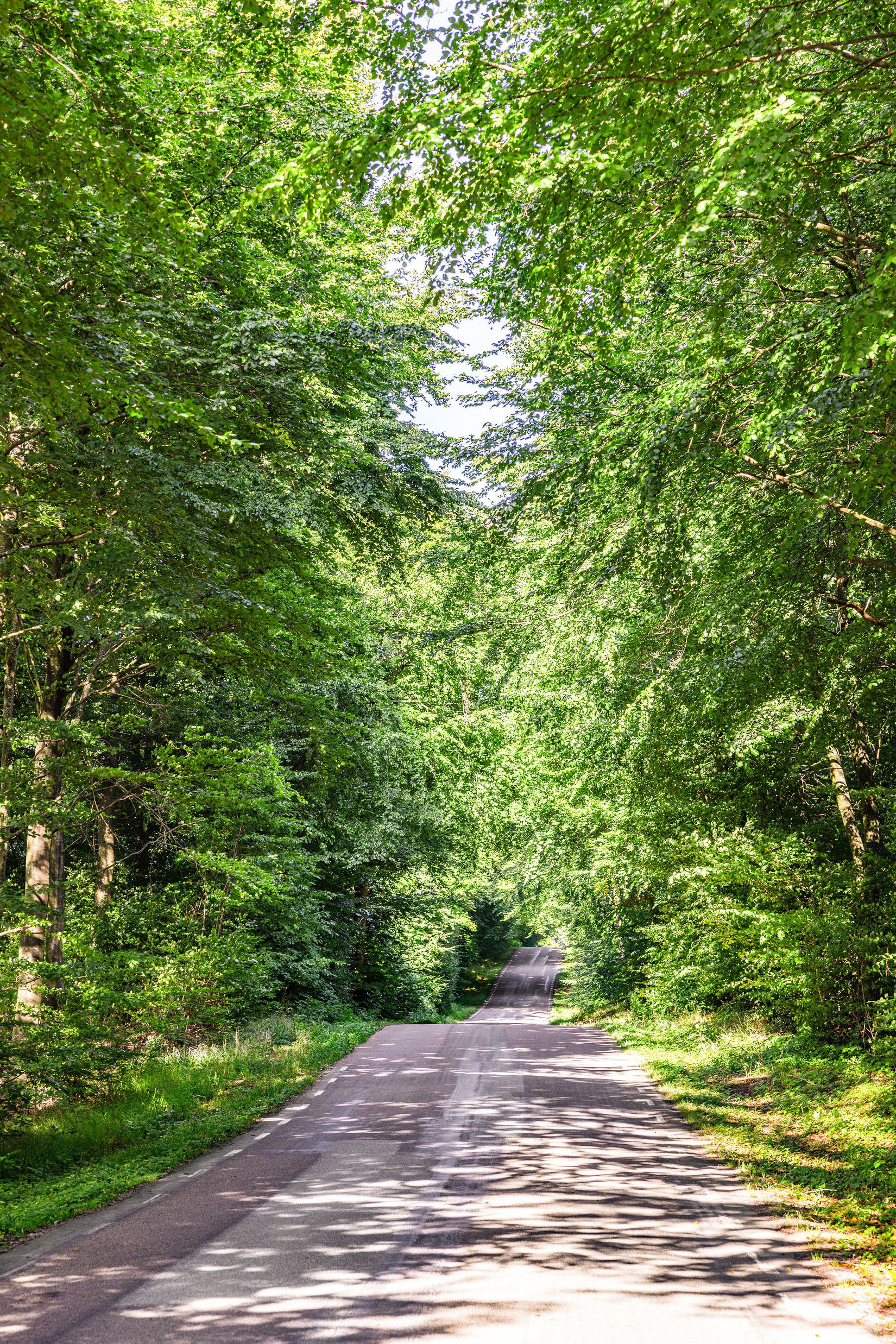 Villa, Ensligheten 16-0, Snårestad, Ystad