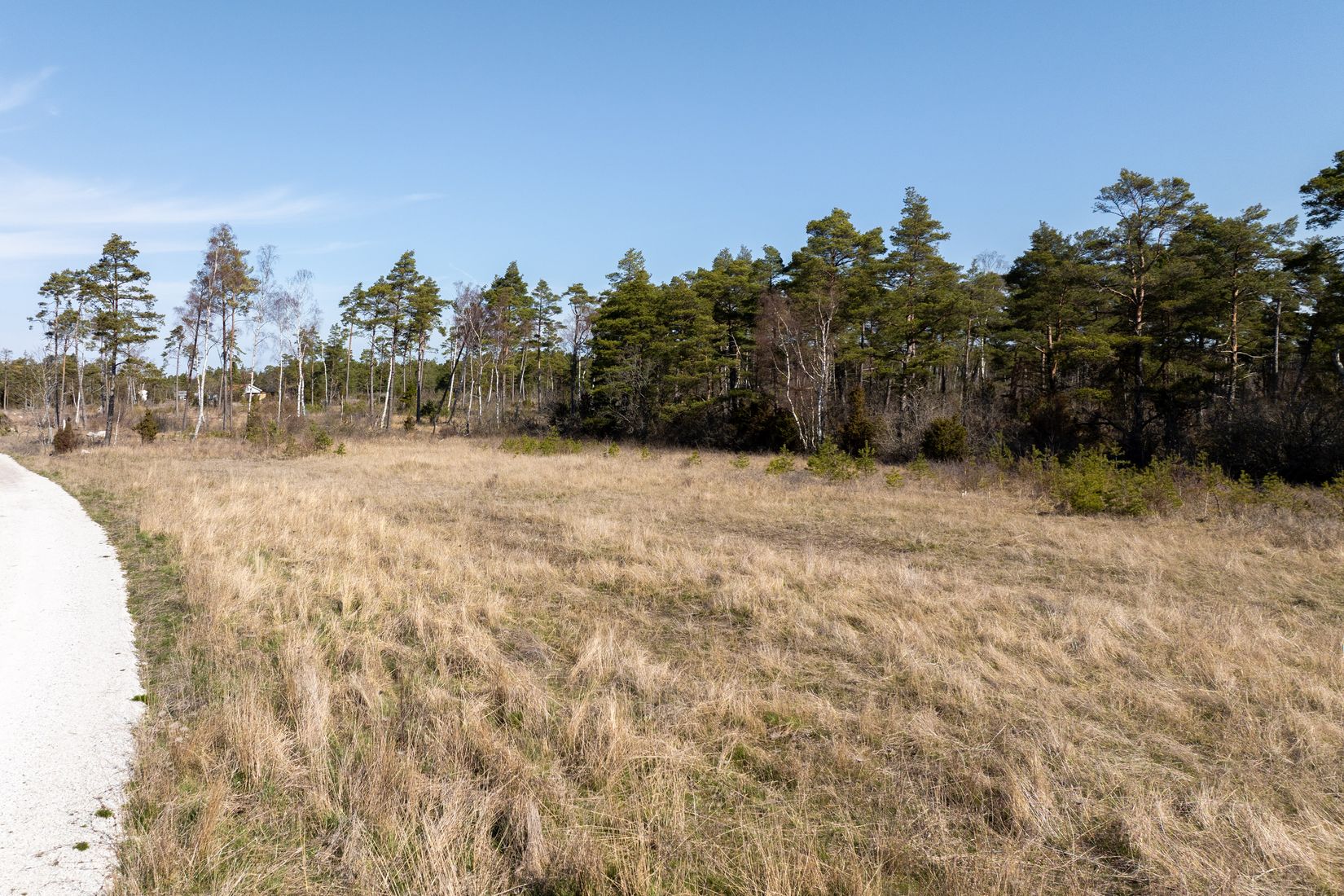 Tomt, Sanda Runne 809J, Gotland