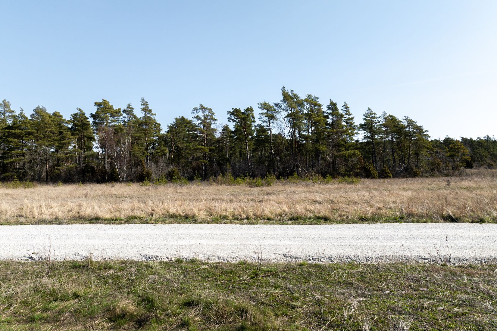 Tomt, Sanda Runne 809J, Gotland