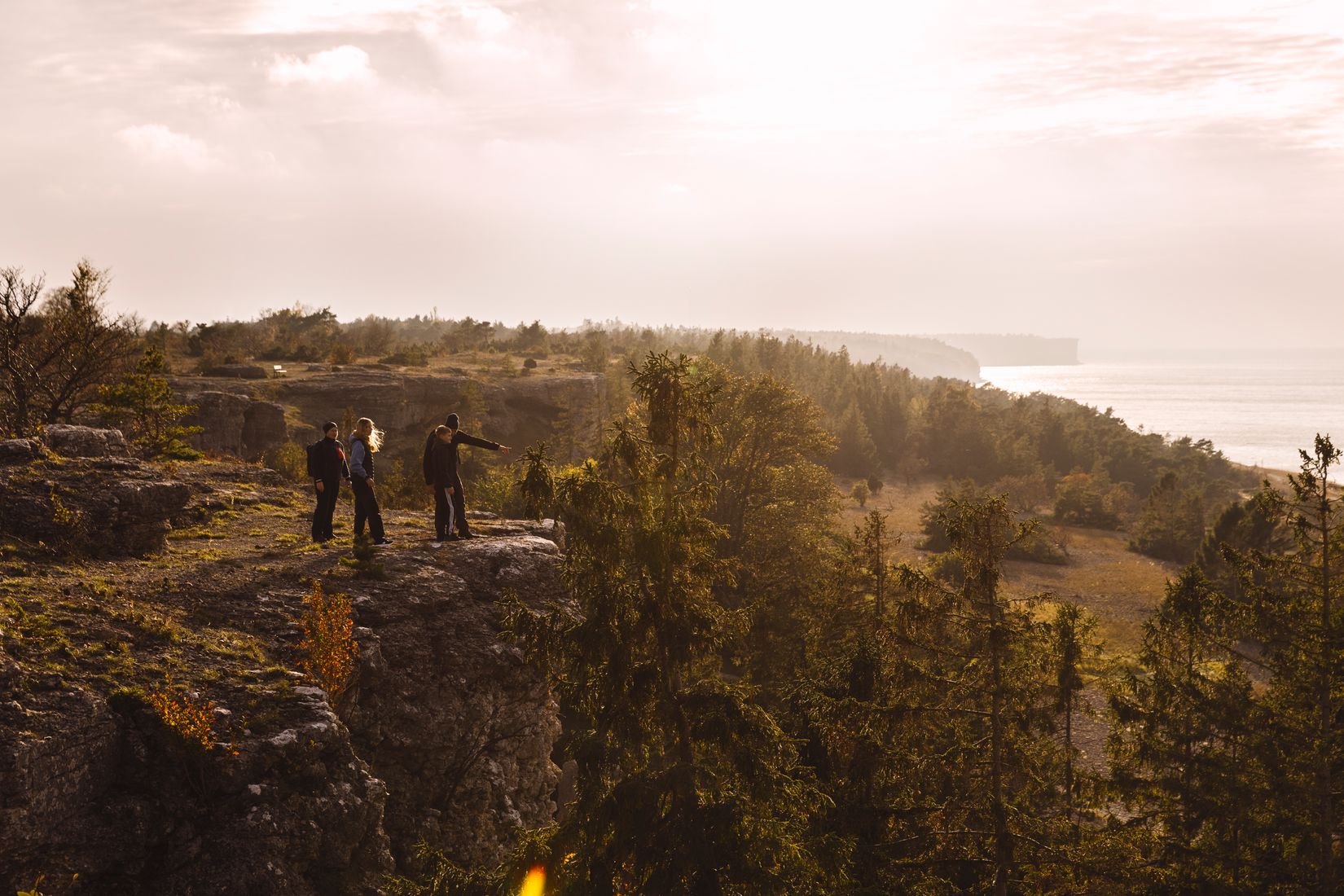 Tomt, Sanda Runne 809J, Gotland