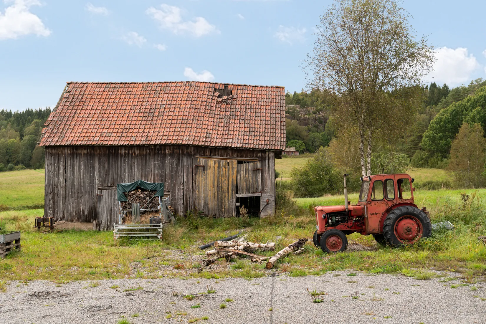 Gård/Skog, Hud 6, Tanum