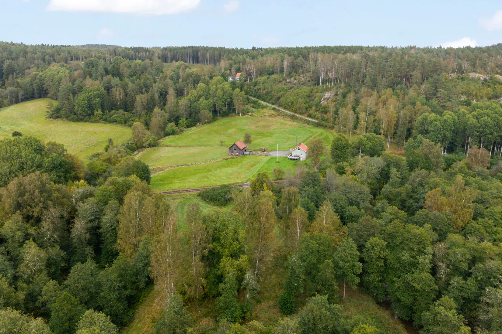 Gård/Skog, Hud 6, Tanum