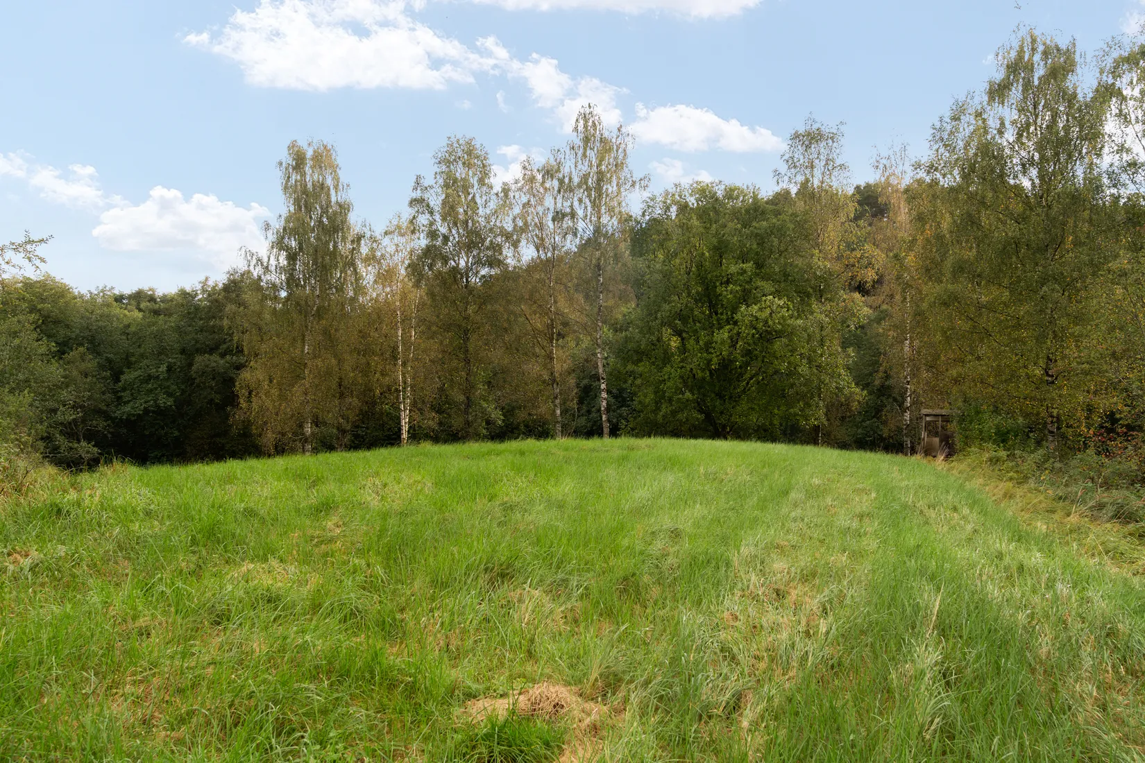 Gård/Skog, Hud 6, Tanum