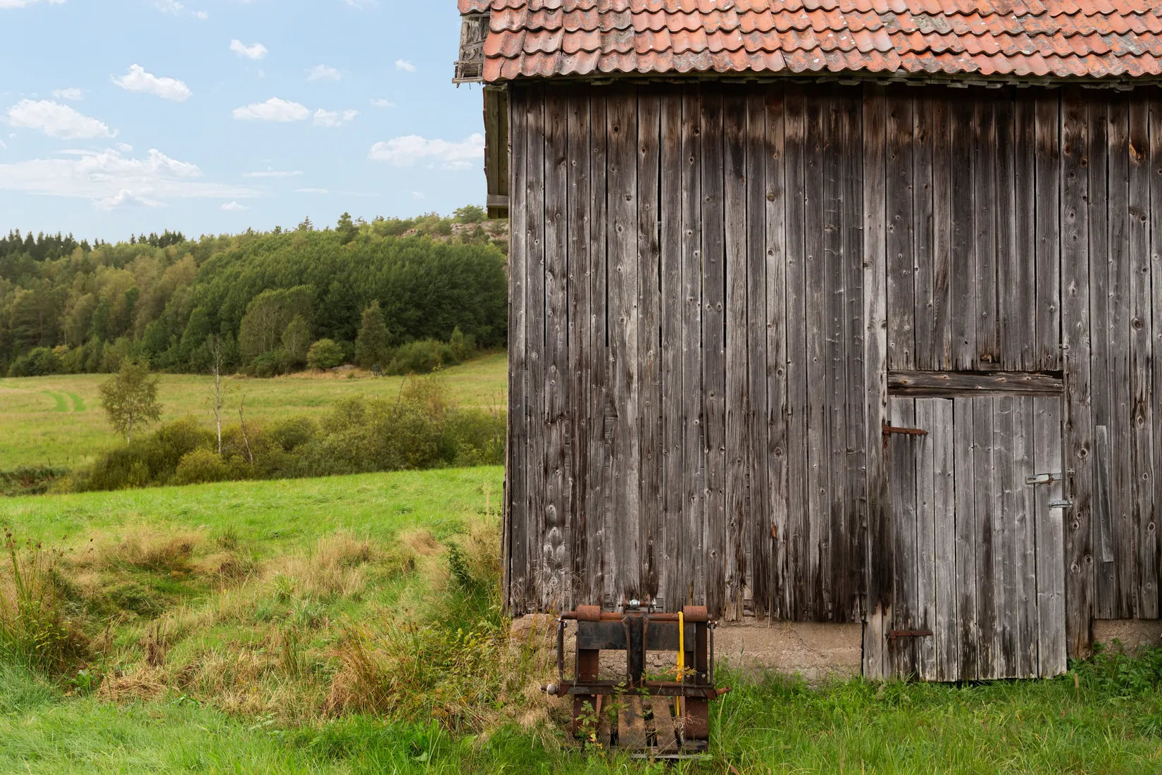 Gård/Skog, Hud 6, Tanum