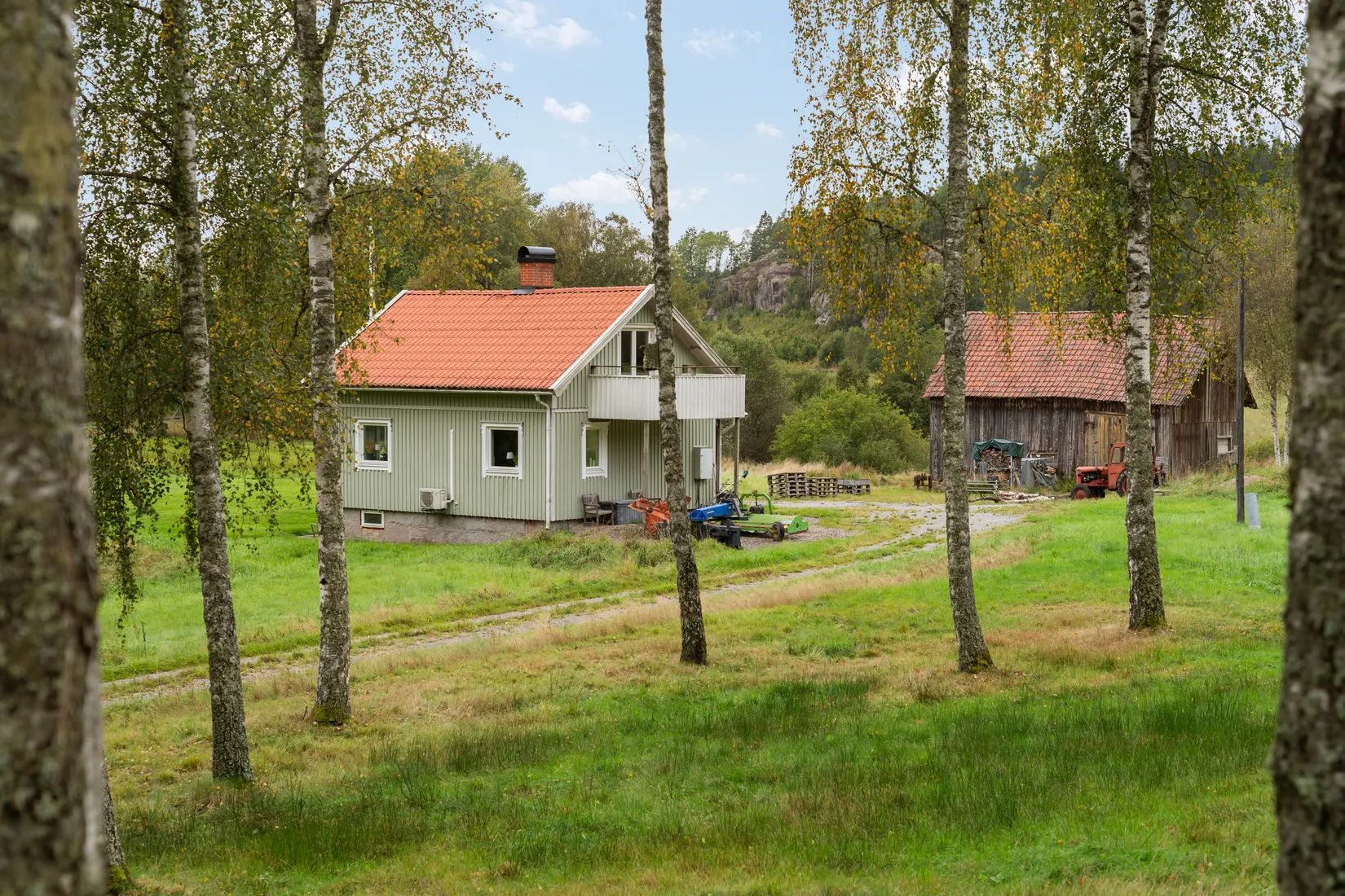 Gård/Skog, Hud 6, Tanum