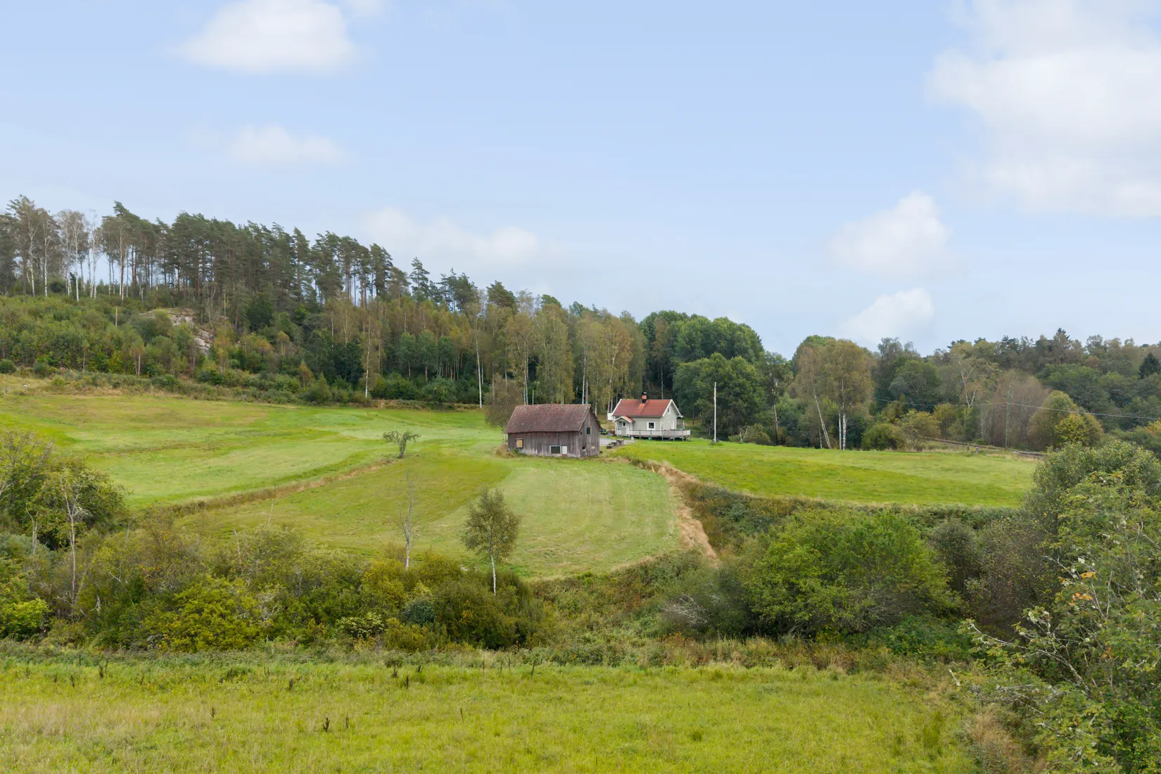 Gård/Skog, Hud 6, Tanum