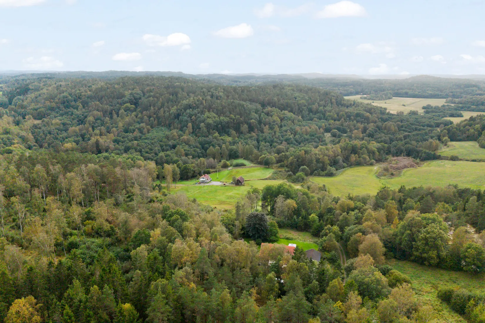 Gård/Skog, Hud 6, Tanum