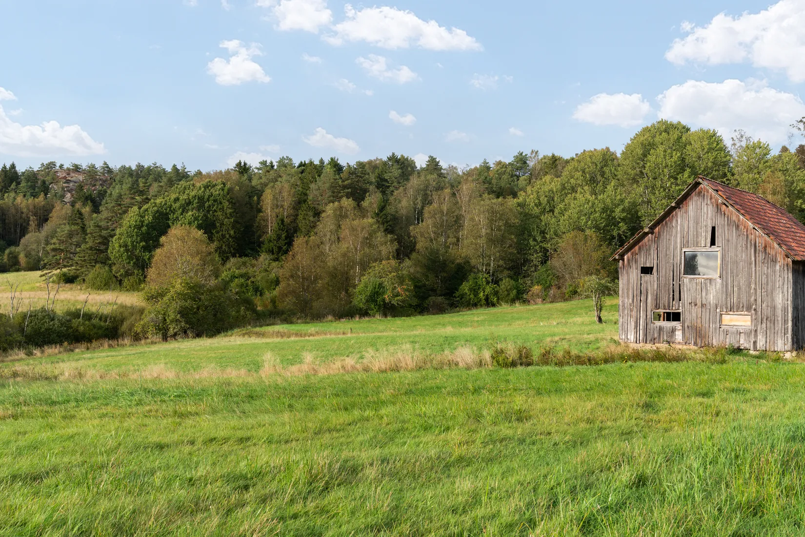 Gård/Skog, Hud 6, Tanum