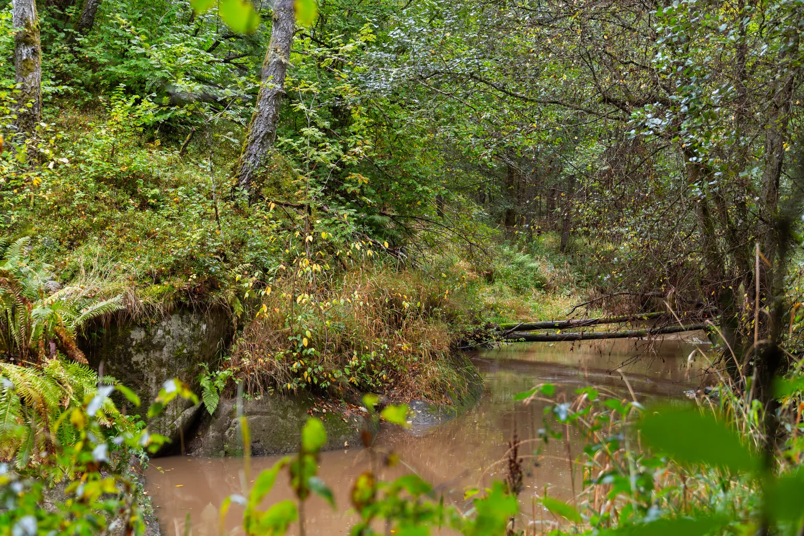 Gård/Skog, Hud 6, Tanum