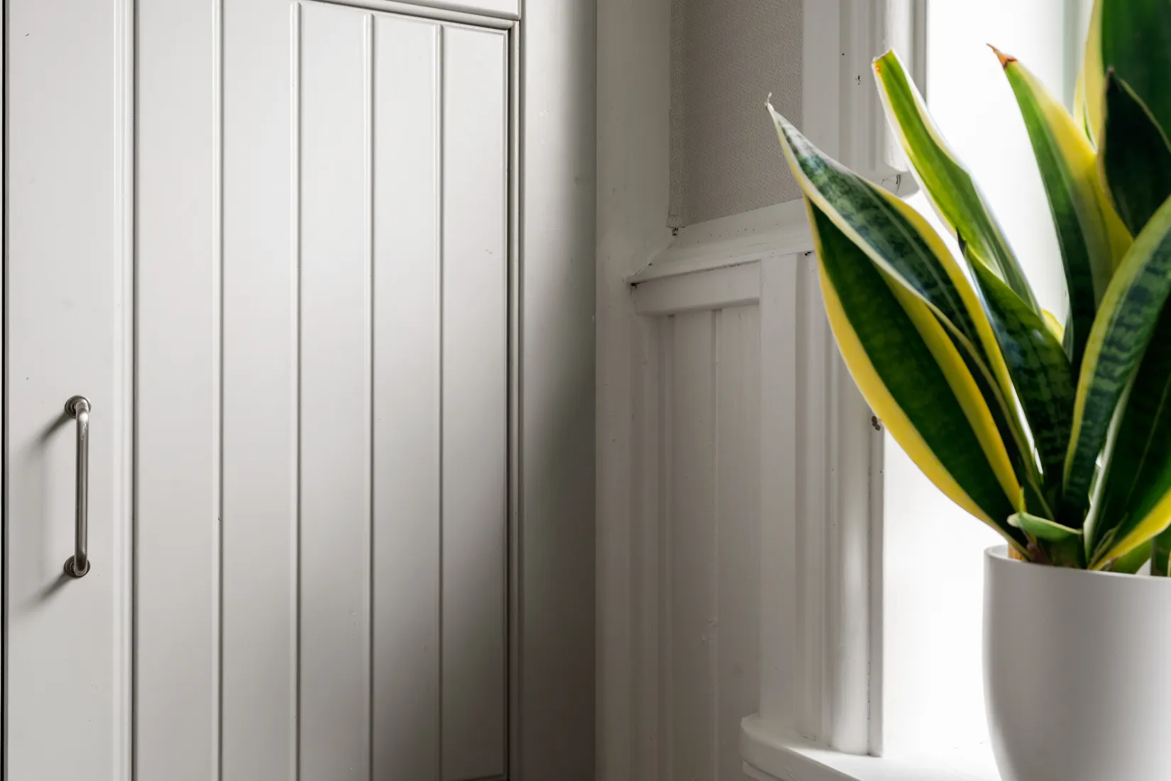 Gård/Skog, Hud 6, Tanum