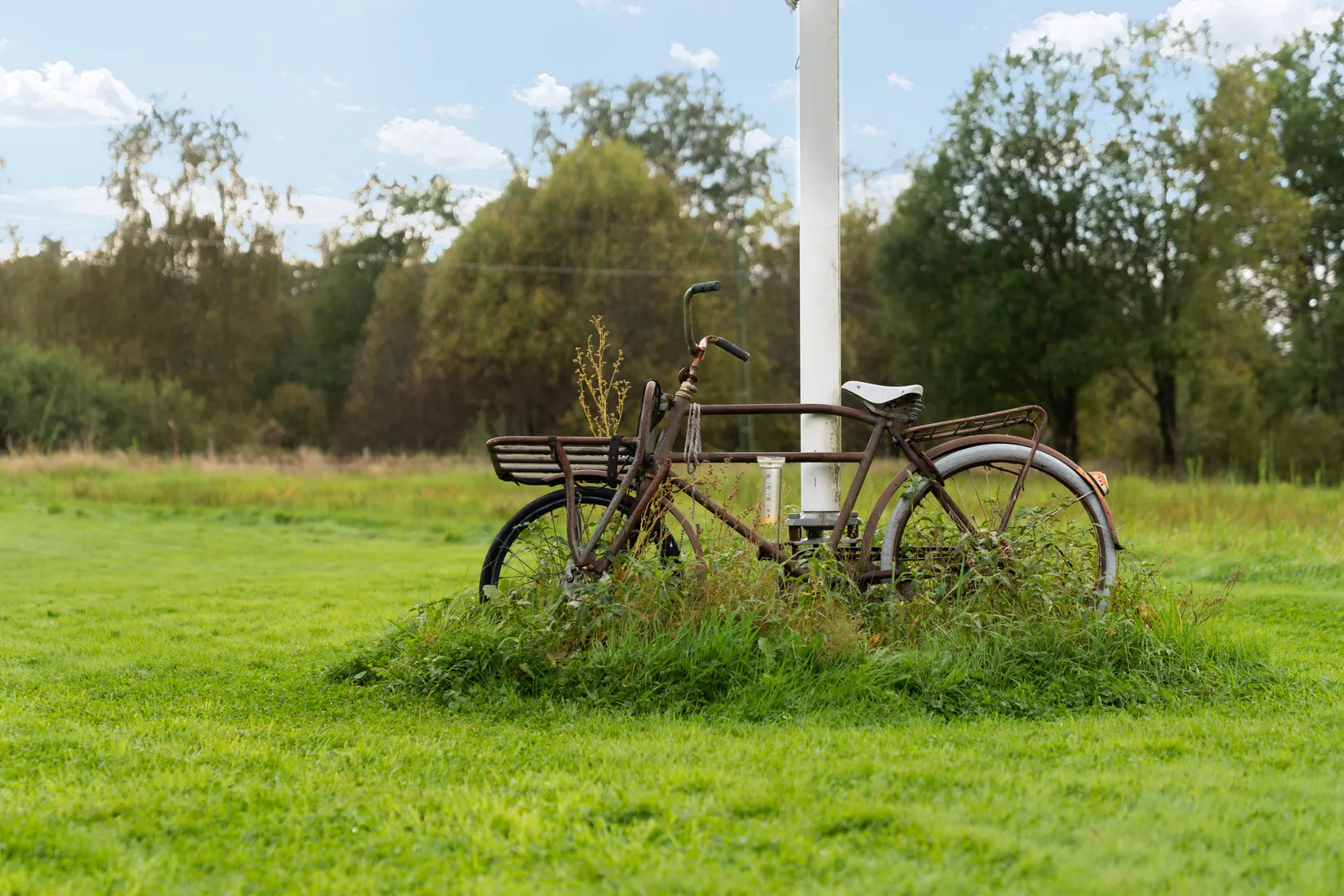 Gård/Skog, Hud 6, Tanum