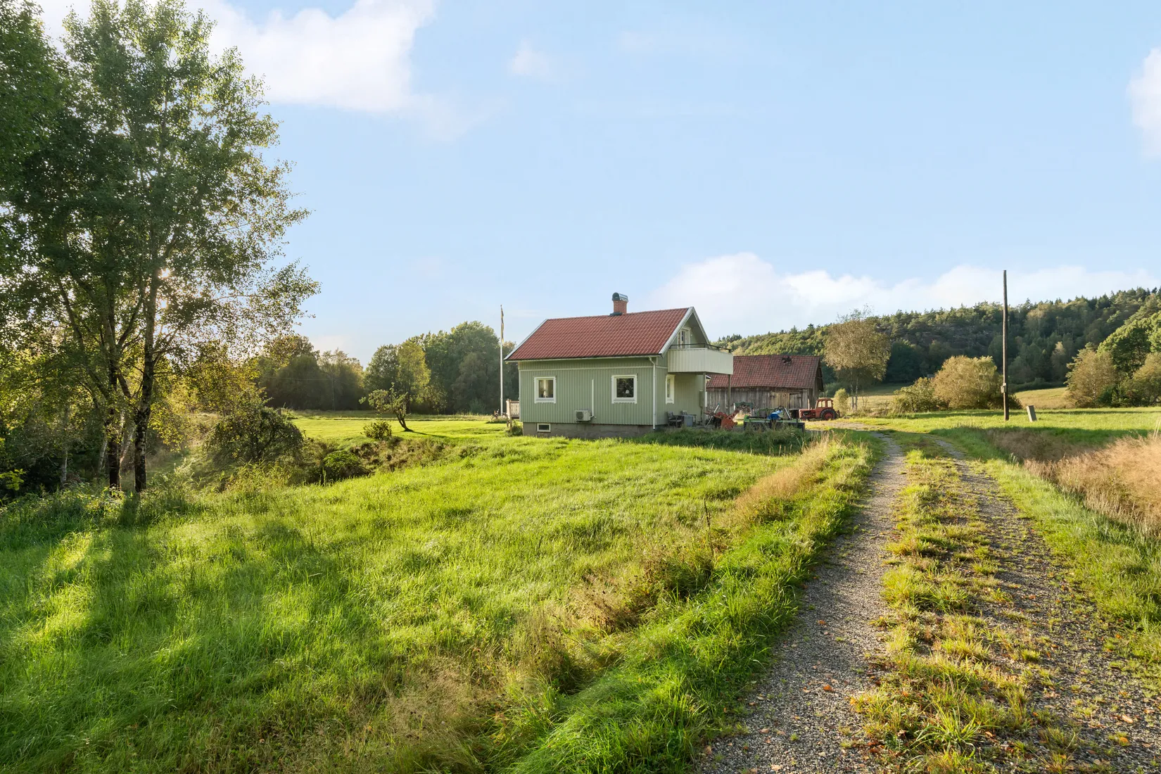 Gård/Skog, Hud 6, Tanum