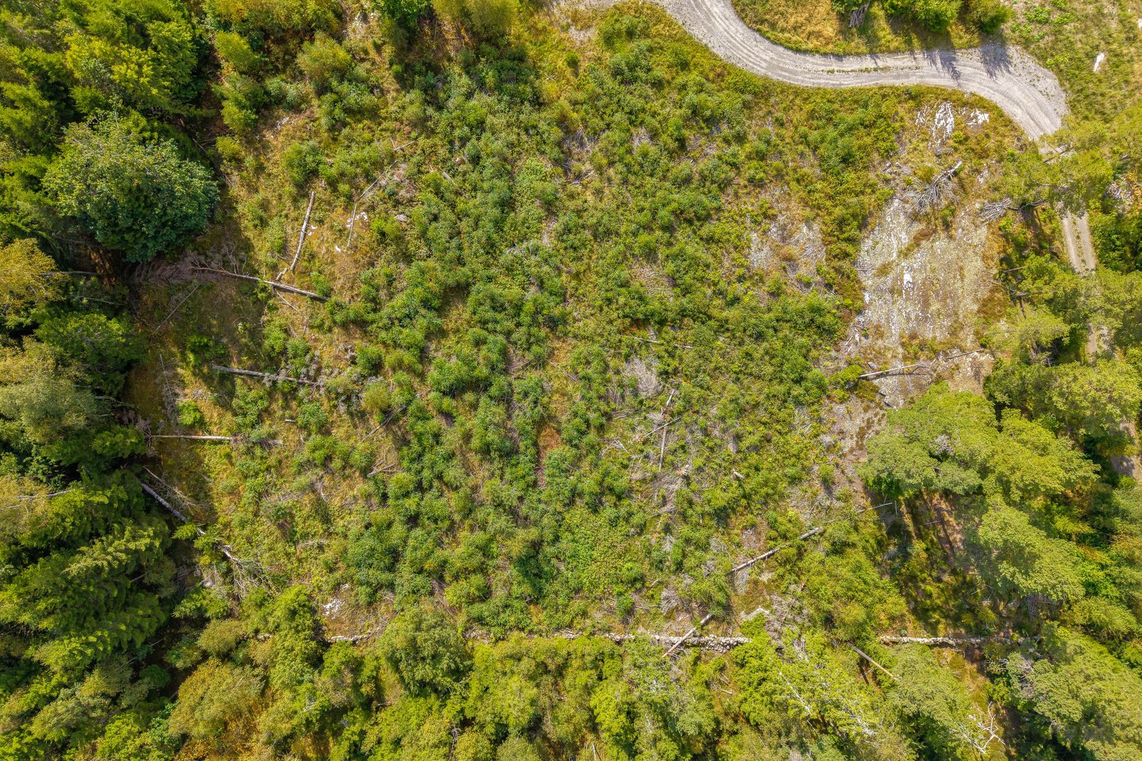 Tomt, Torp Hagalund 3, Trollhättan