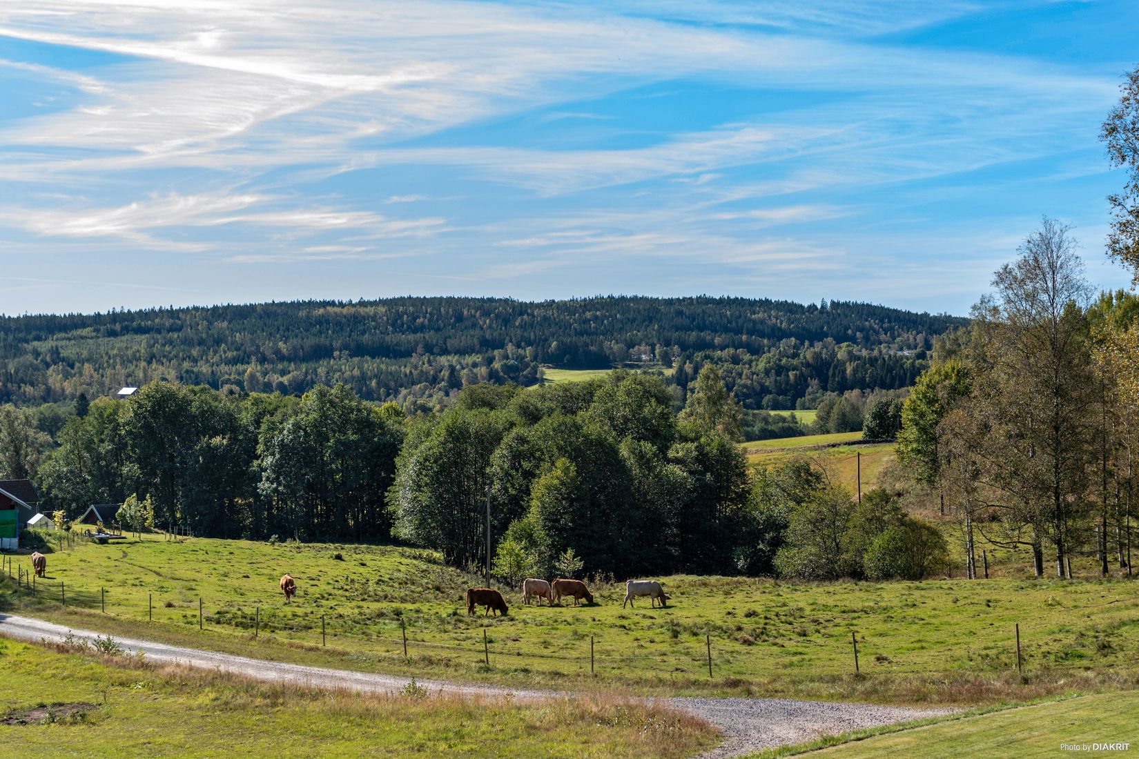 Villa, Kullavägen 84, Bollebygd