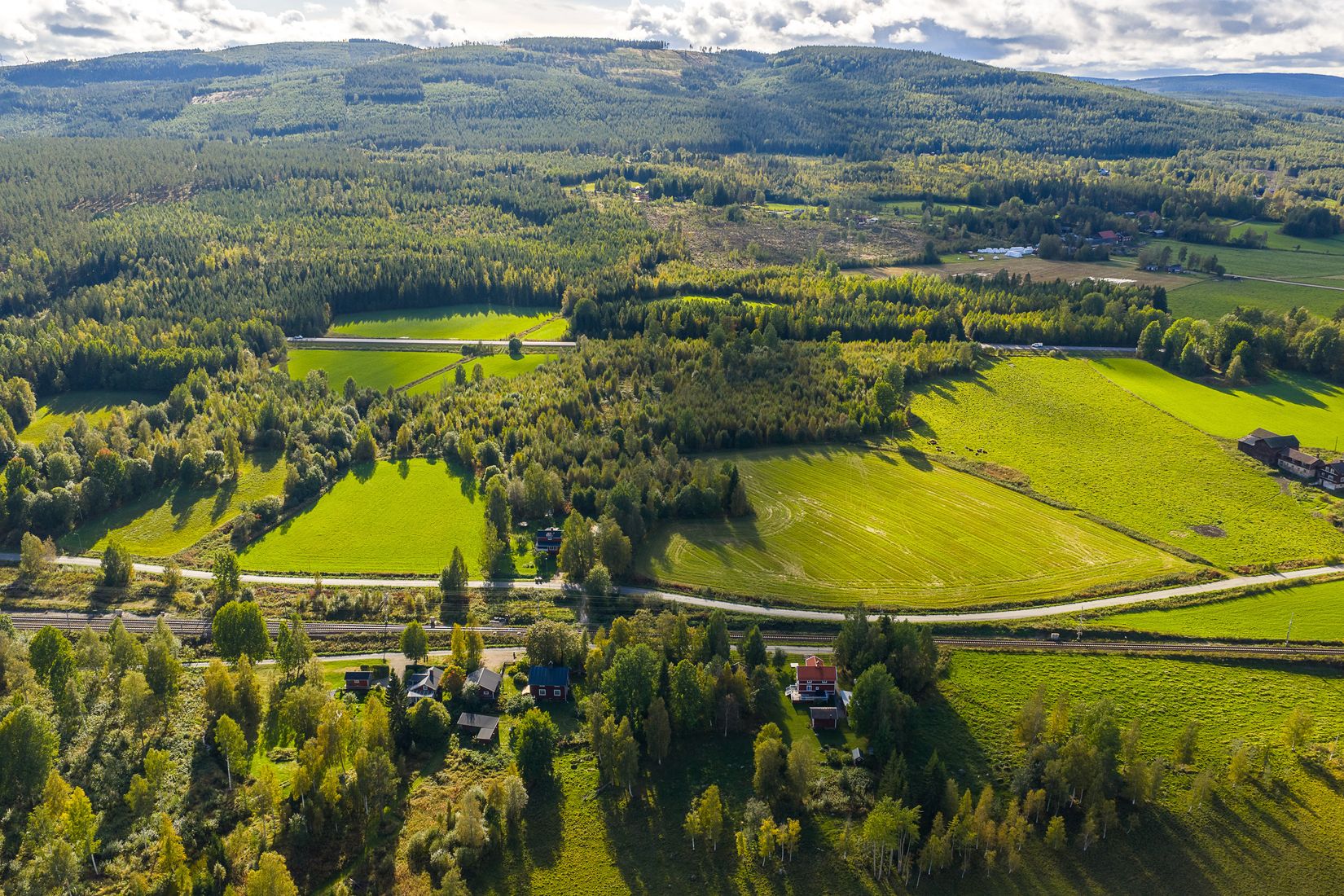 Gård/Skog, Löräng 1:39, Ljusdal