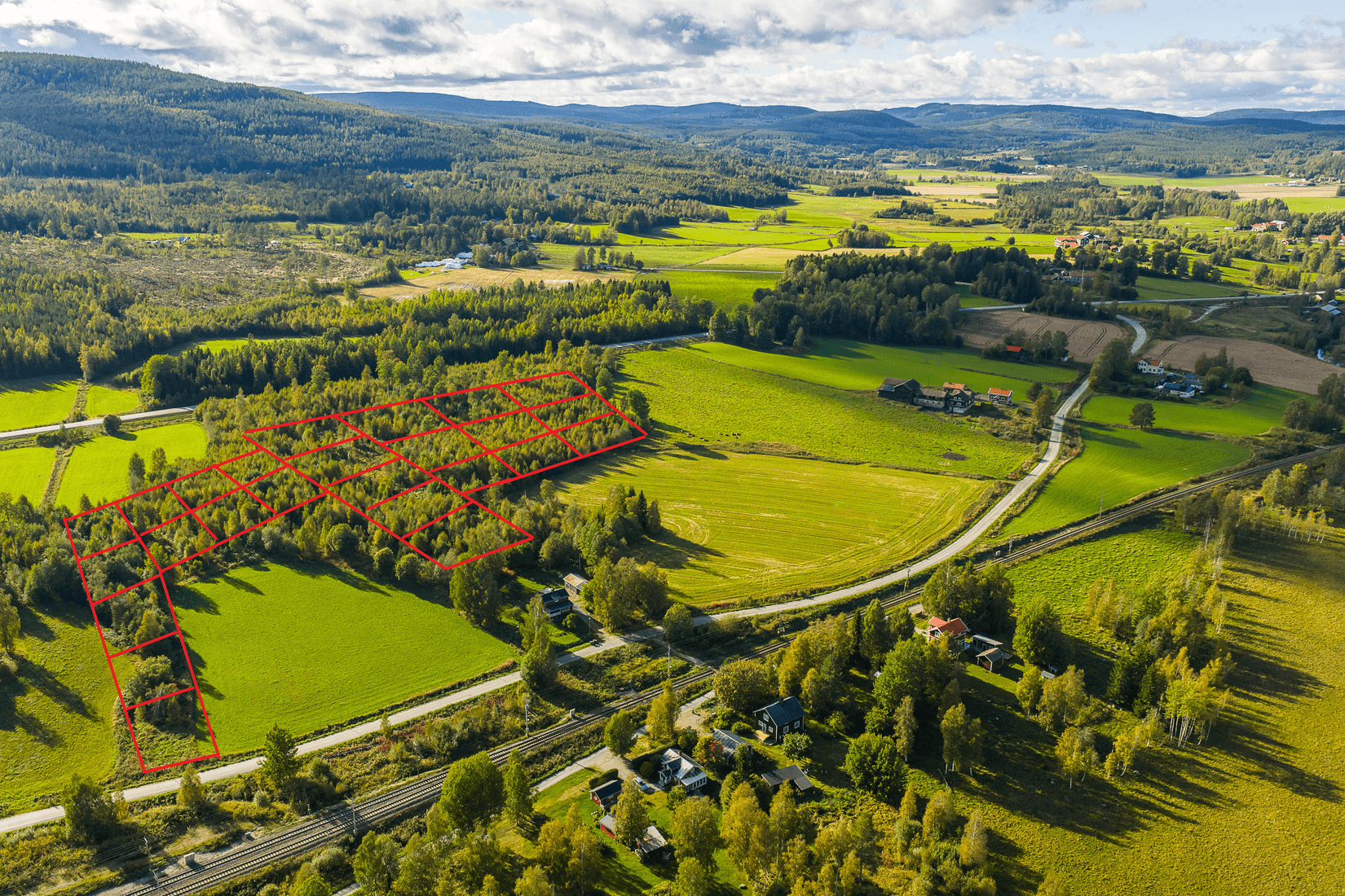 Gård/Skog, Löräng 1:39, Ljusdal