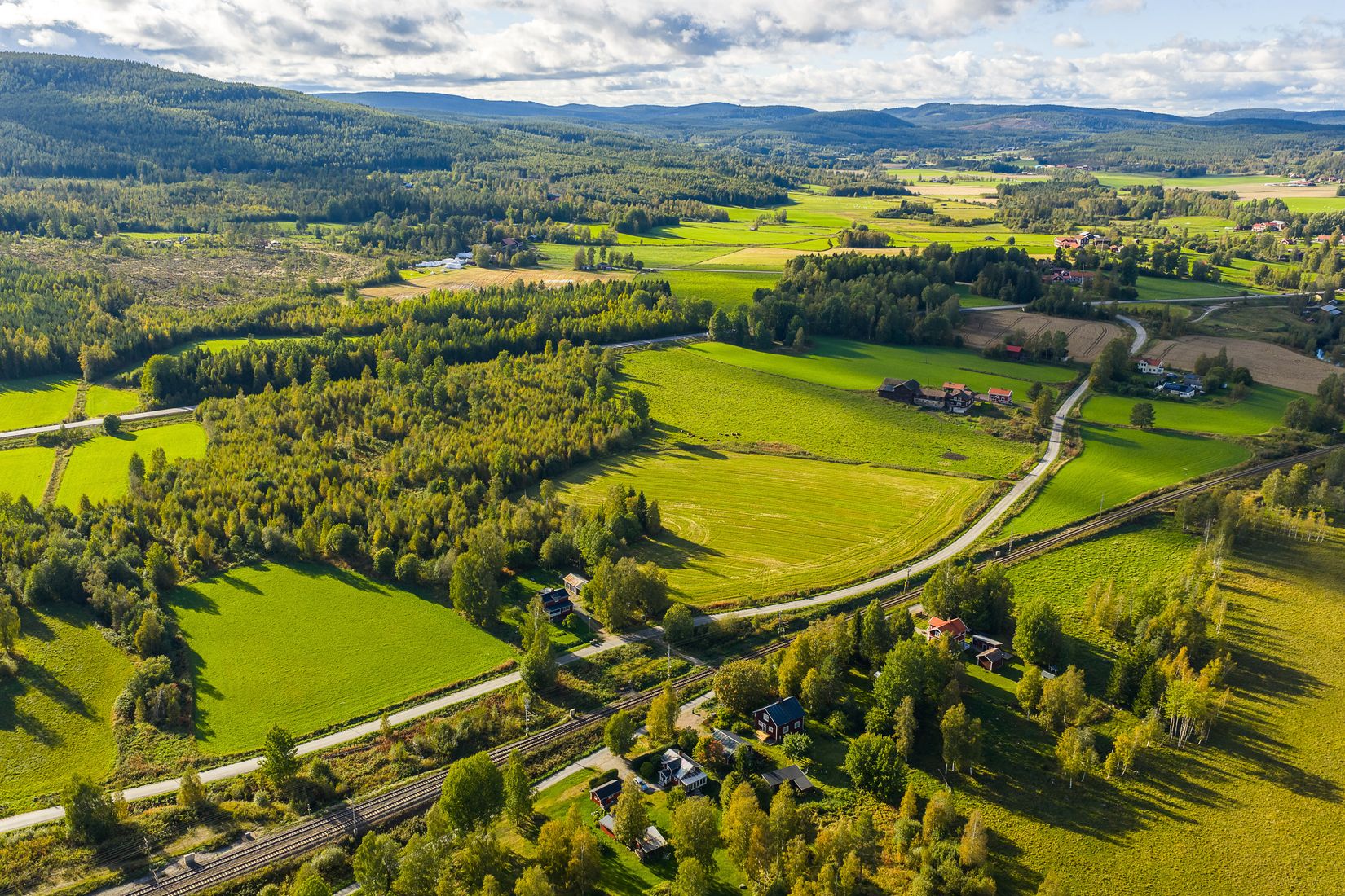 Gård/Skog, Löräng 1:39, Ljusdal
