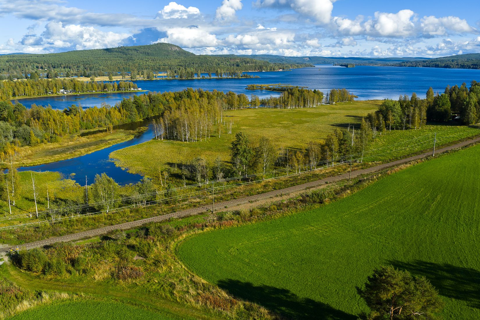 Gård/Skog, Löräng 1:39, Ljusdal