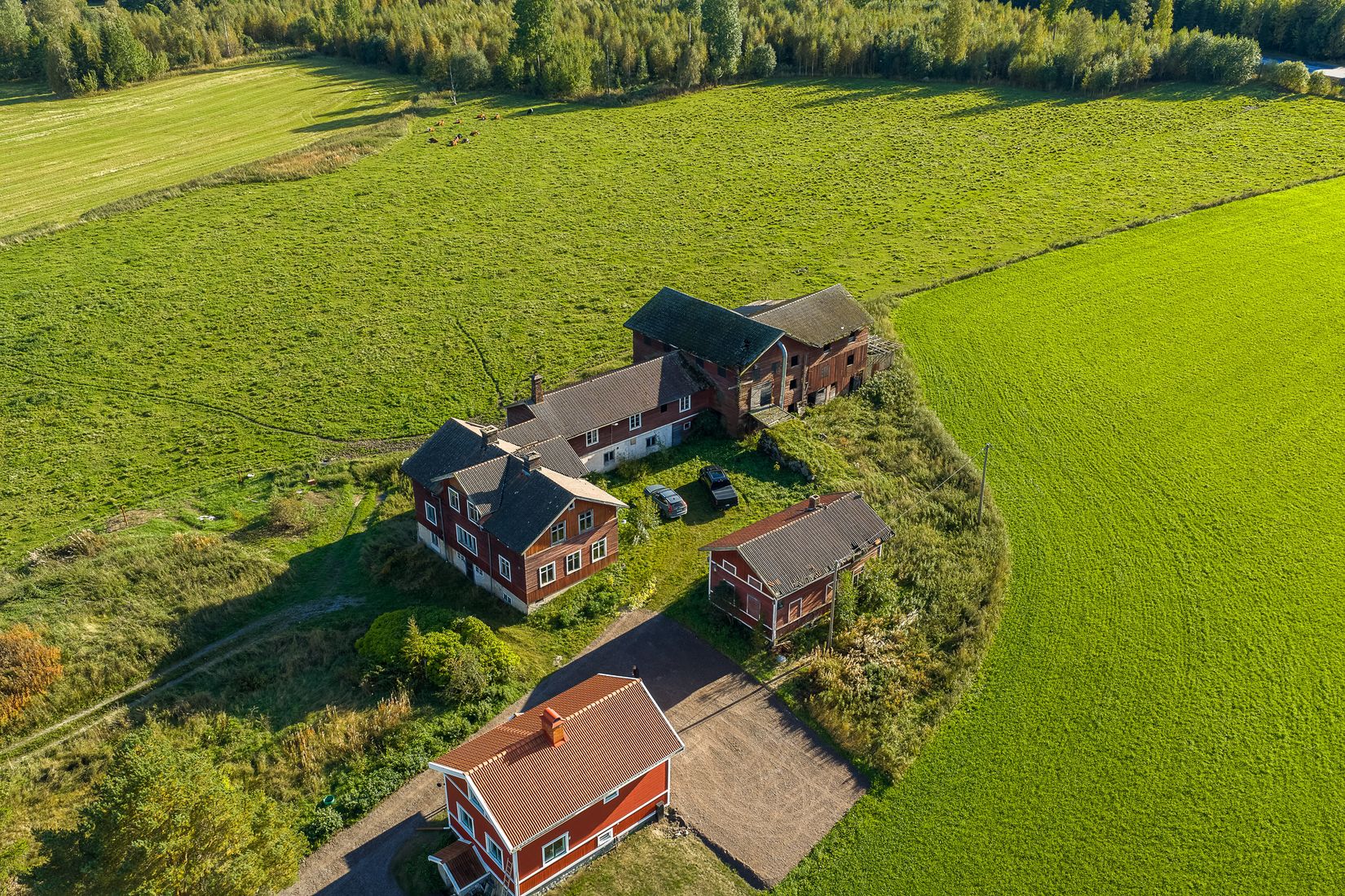 Gård/Skog, Löräng 1:39, Ljusdal