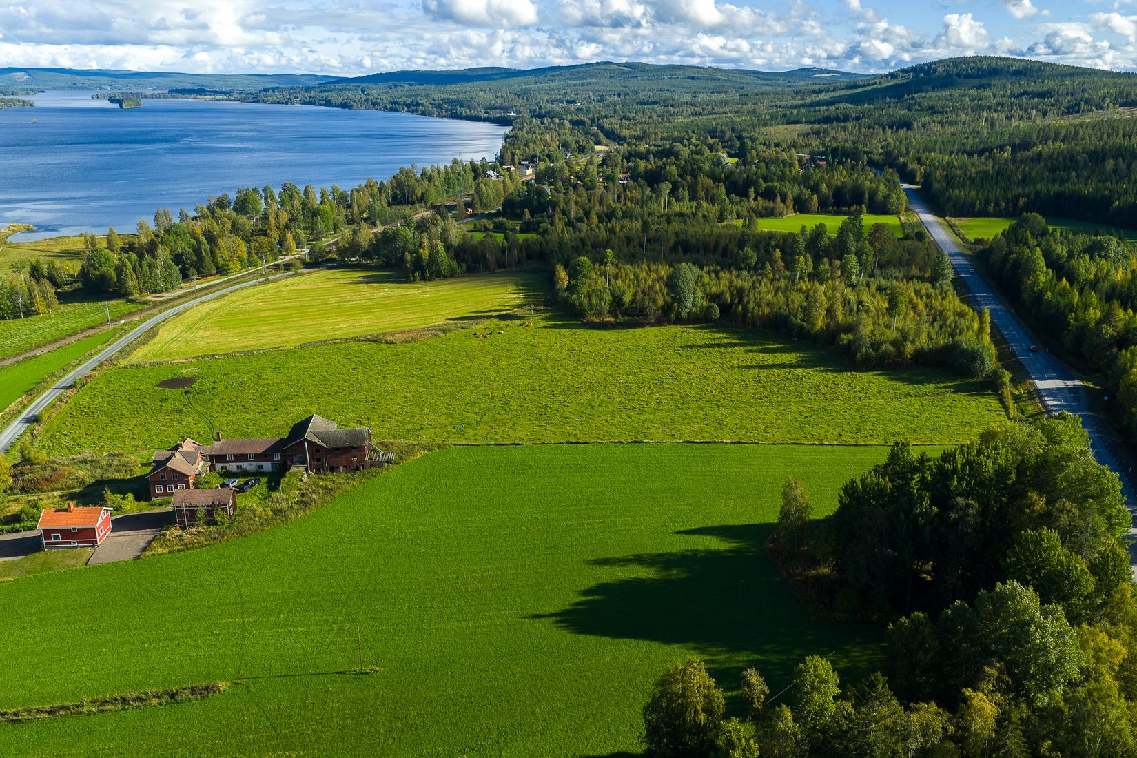 Gård/Skog, Löräng 1:39, Ljusdal