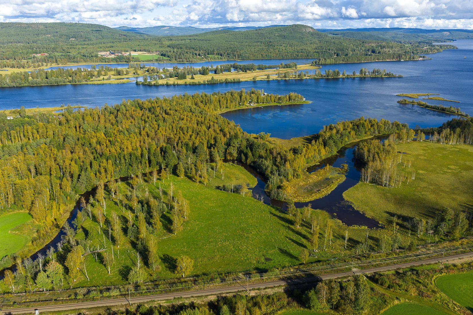 Gård/Skog, Löräng 1:39, Ljusdal