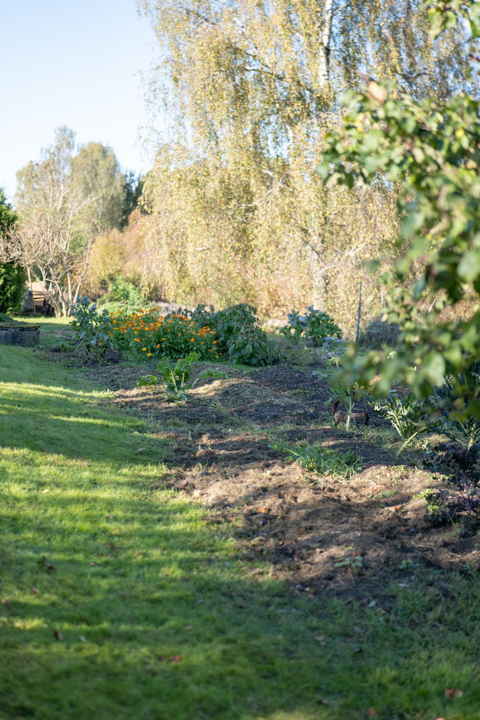 Villa, Gullåkravägen 8, Falköping