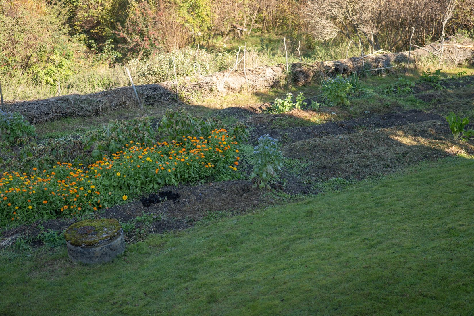 Villa, Gullåkravägen 8, Falköping